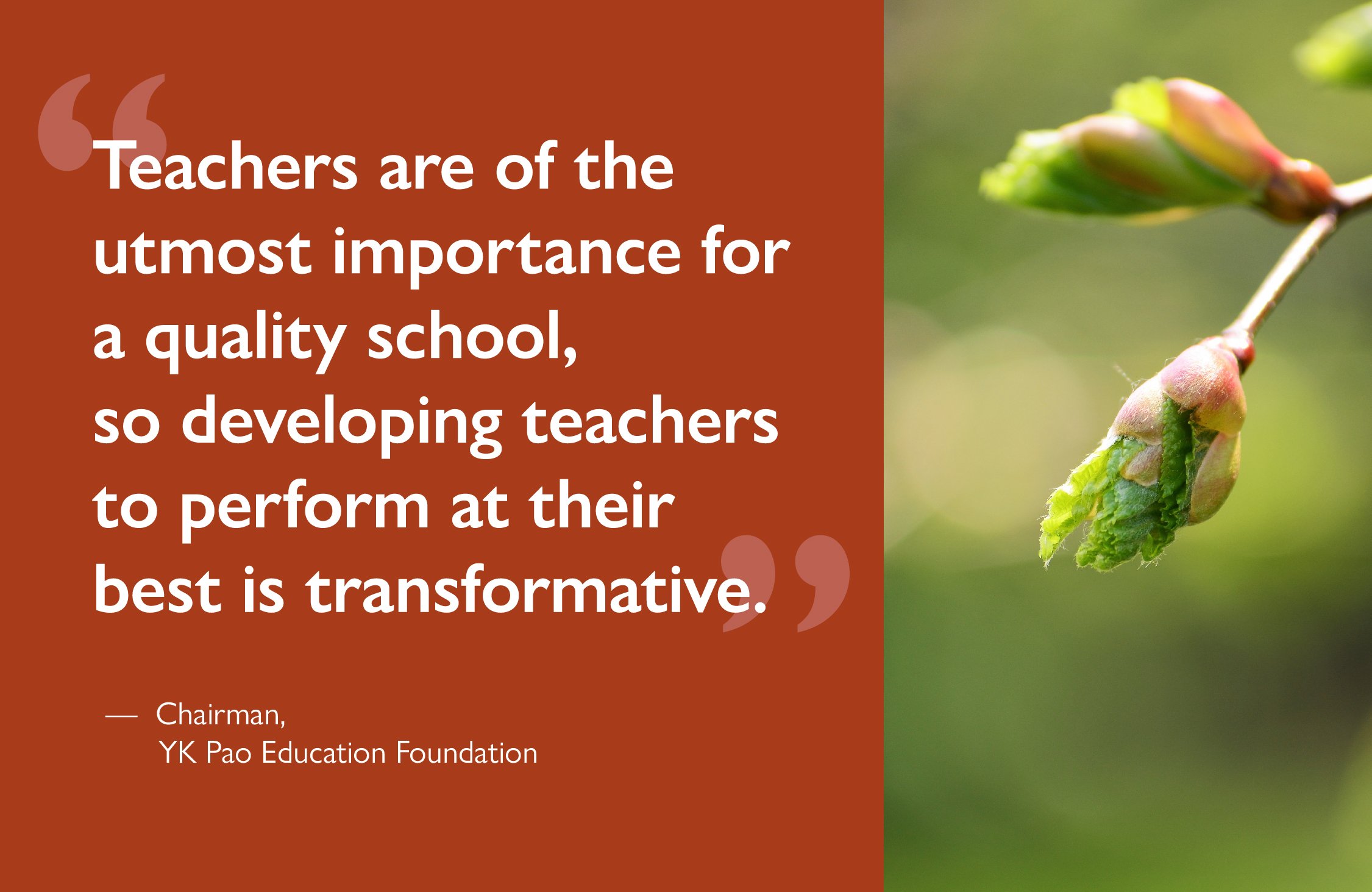 Website layoutadd-10.jpg