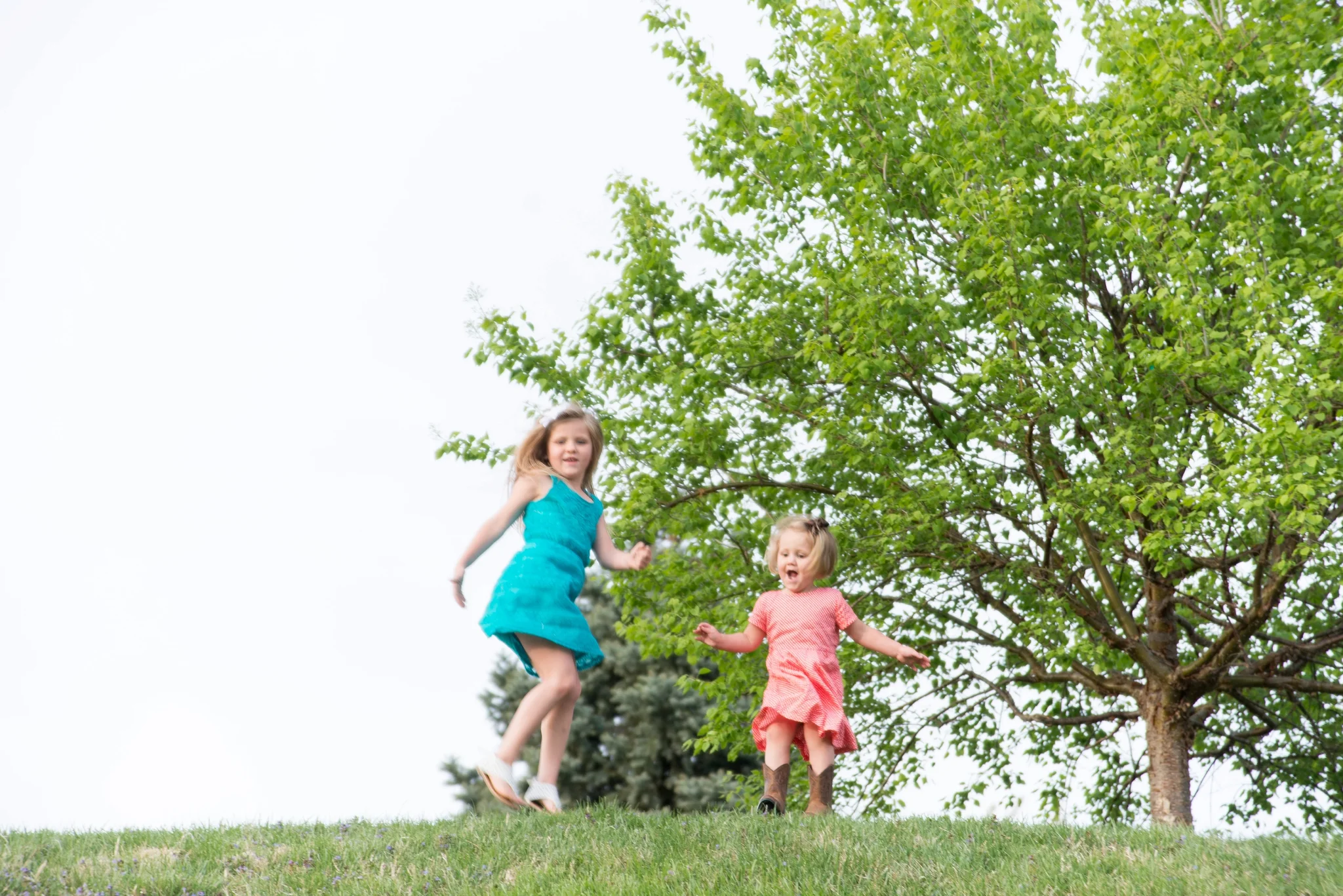 Porterfield_DHPhotography129.jpg