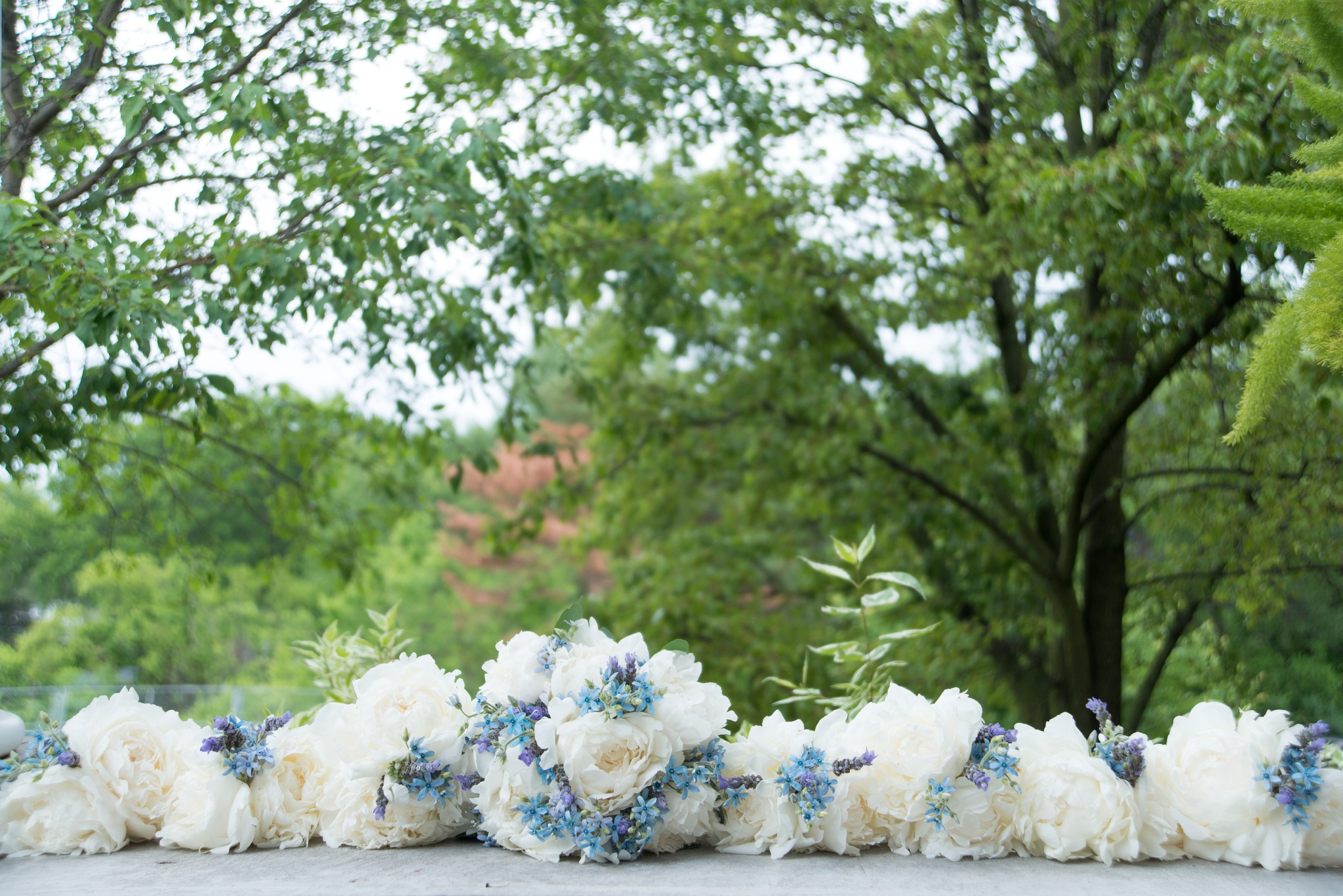 Blog_DHPhotography077.jpg