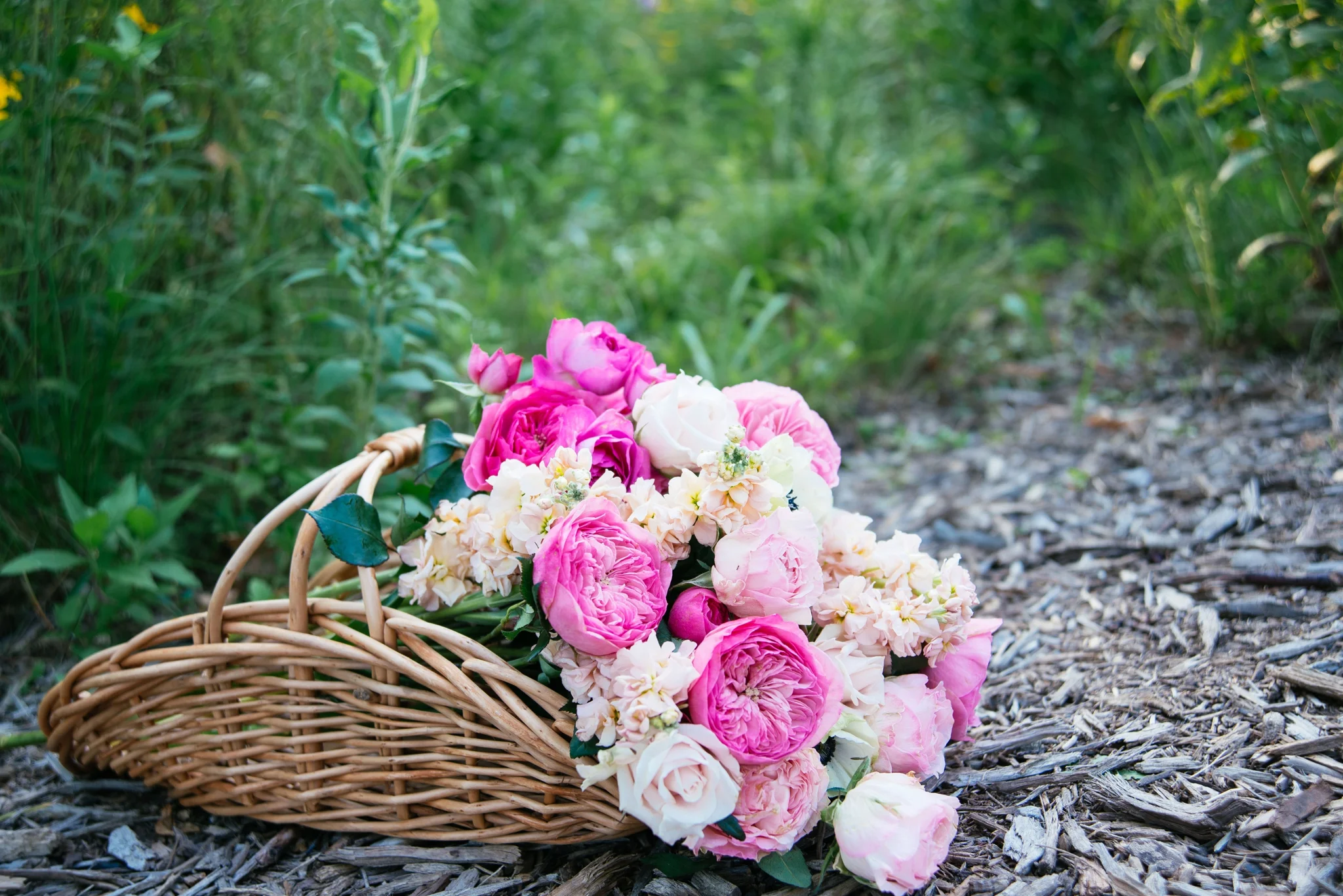 Jillian_DHPhotography02.jpg