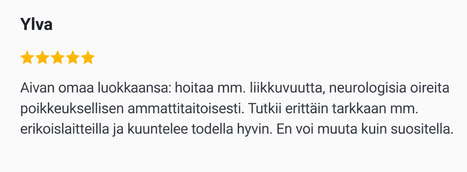 Google arvostelu 2.png