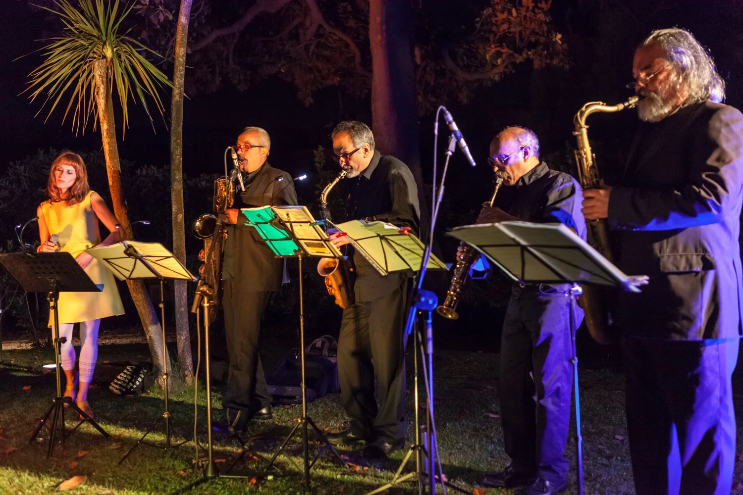 ABIDE WITH ME at Swiss Institute Rome 2014, with Eugenio Colombo, Peppe d'Argenzio, Ferruccio Corsi, Pasquale Innarella