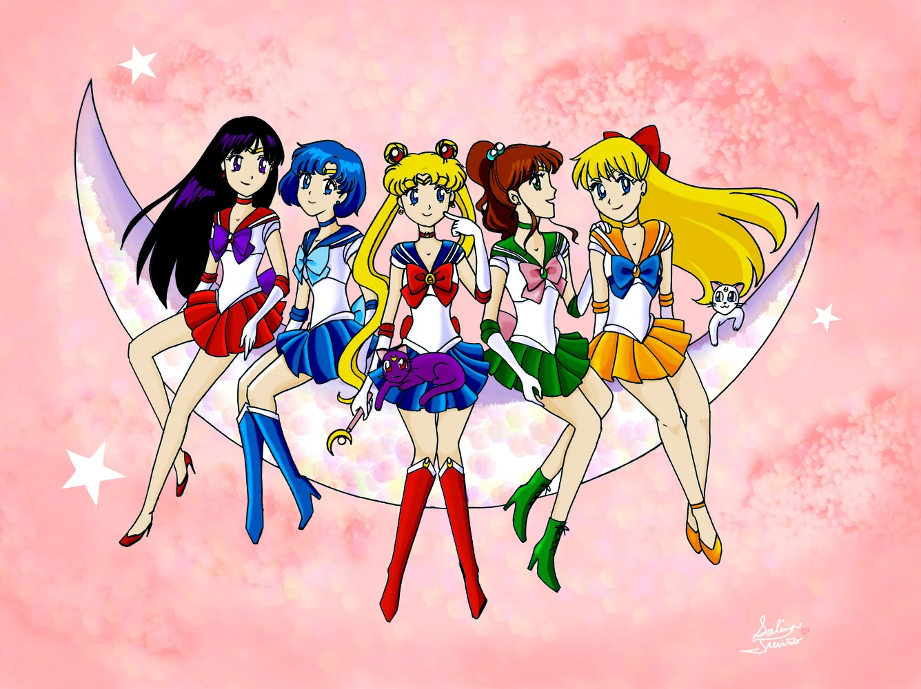 sailor_moon_webready.jpg