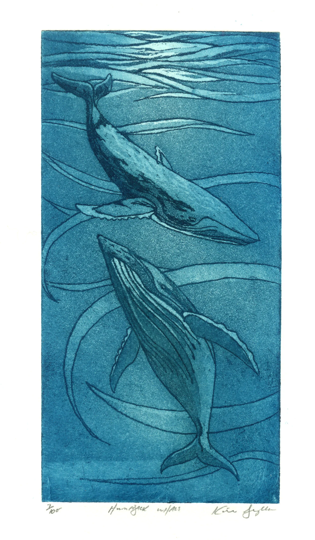 Humpback whales, etching and aquatint