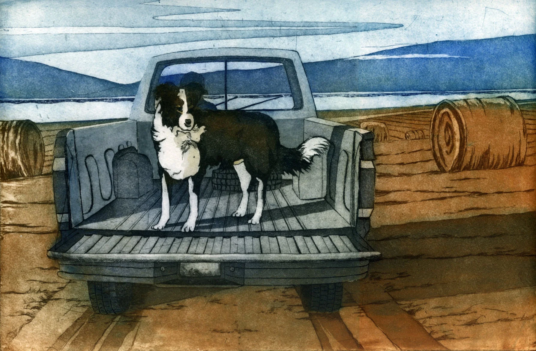Farm Dog