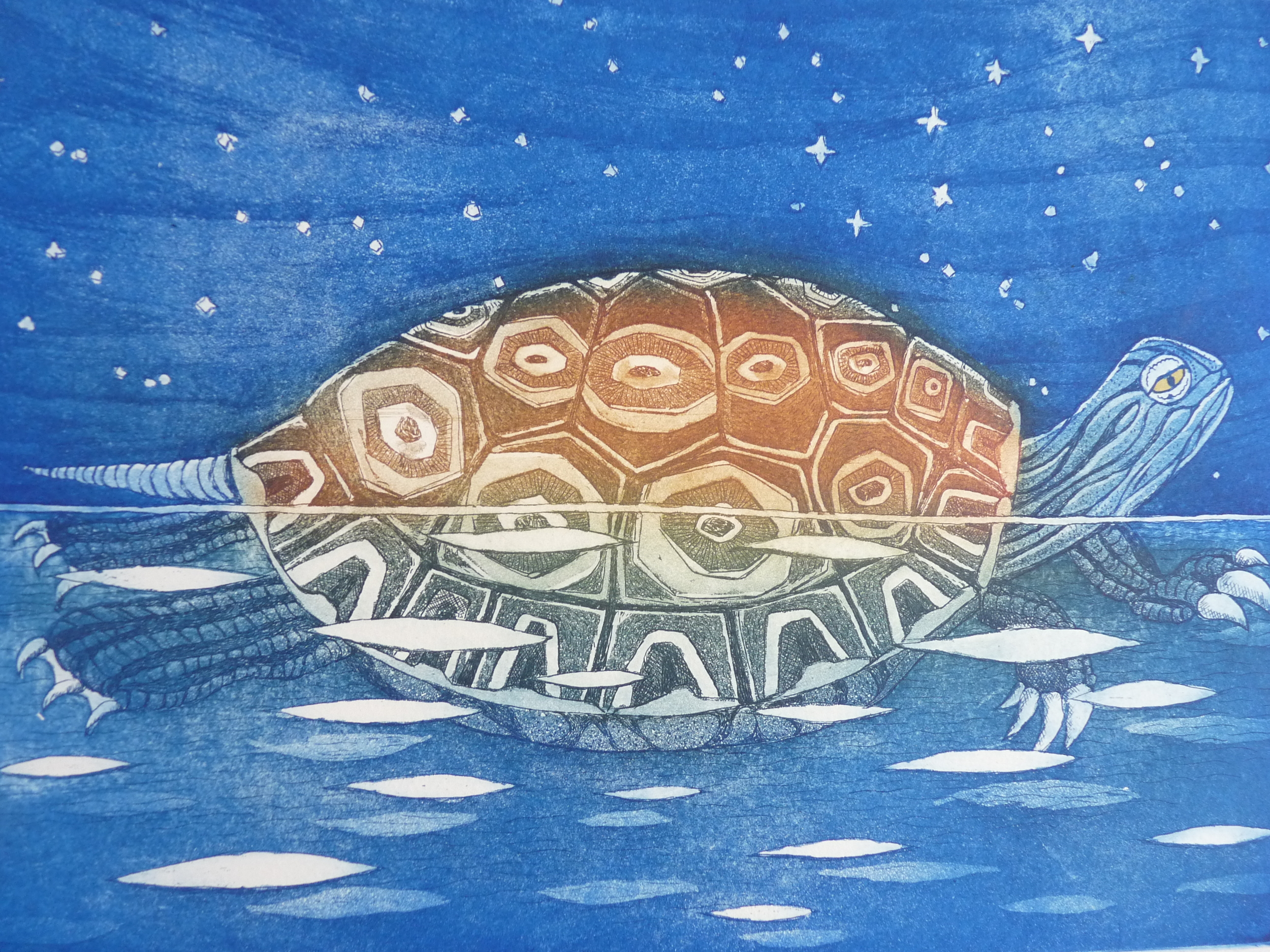 turtle and the big dipper