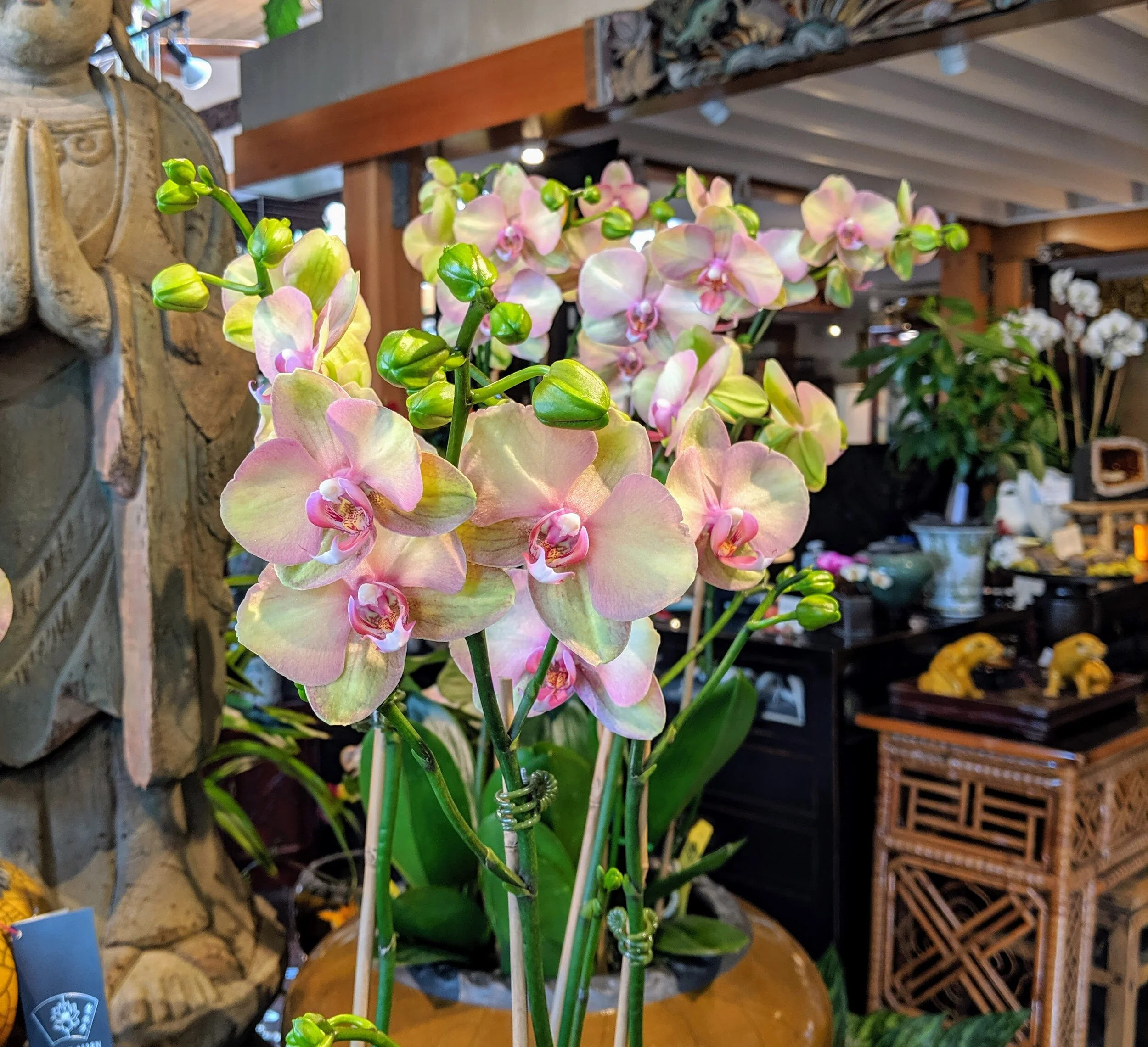 IMG_20191008_114911.jpg