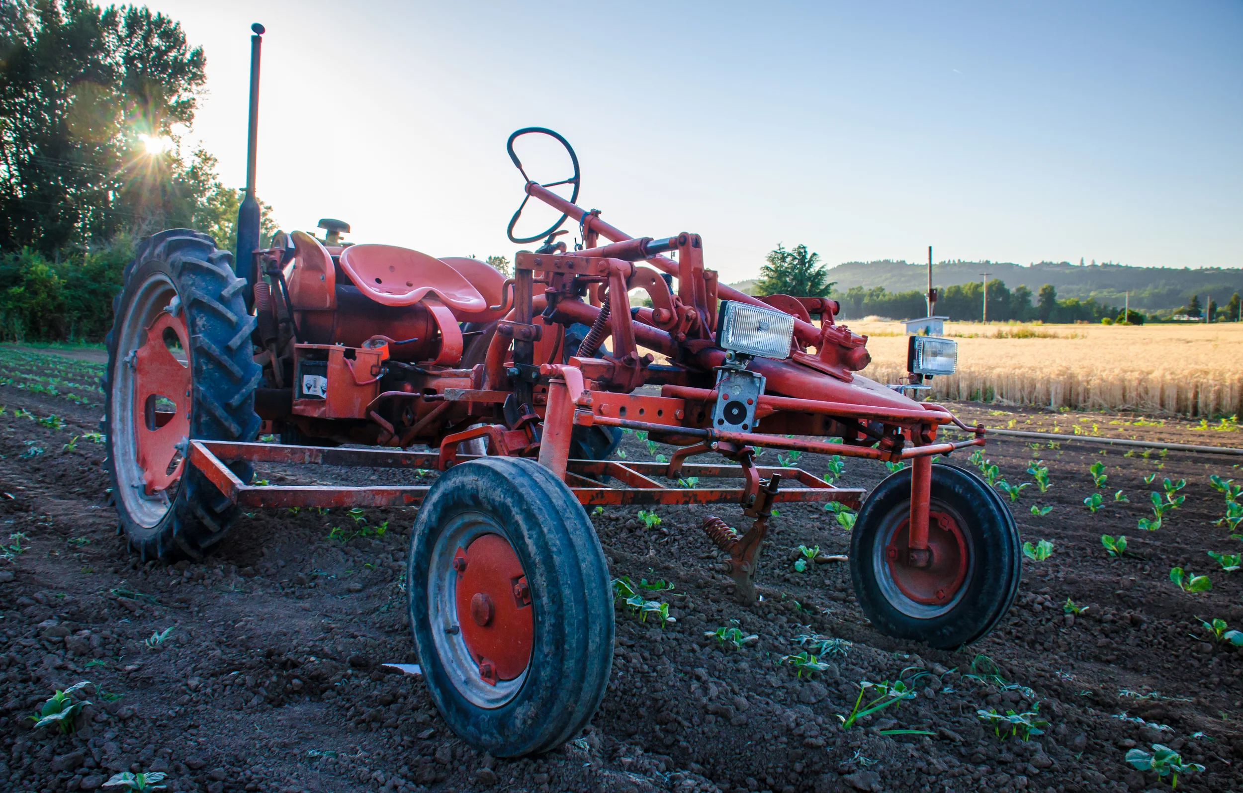 20140717-_DSC4698-2-39.jpg