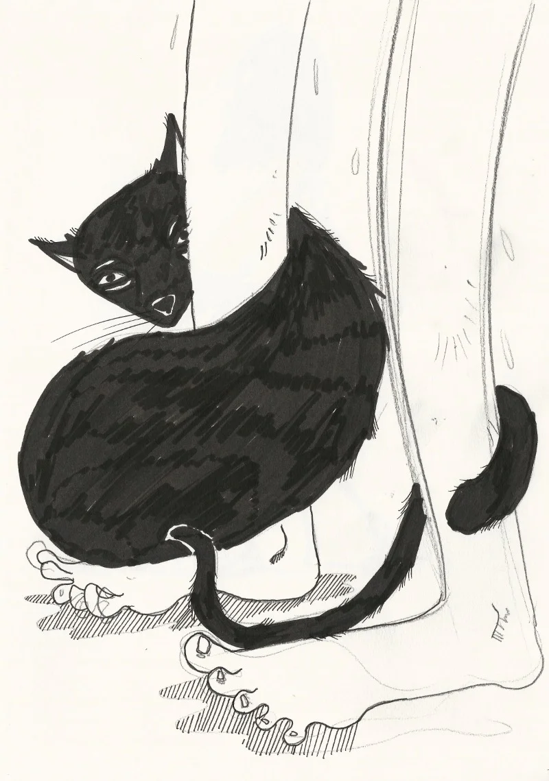 cat4.png