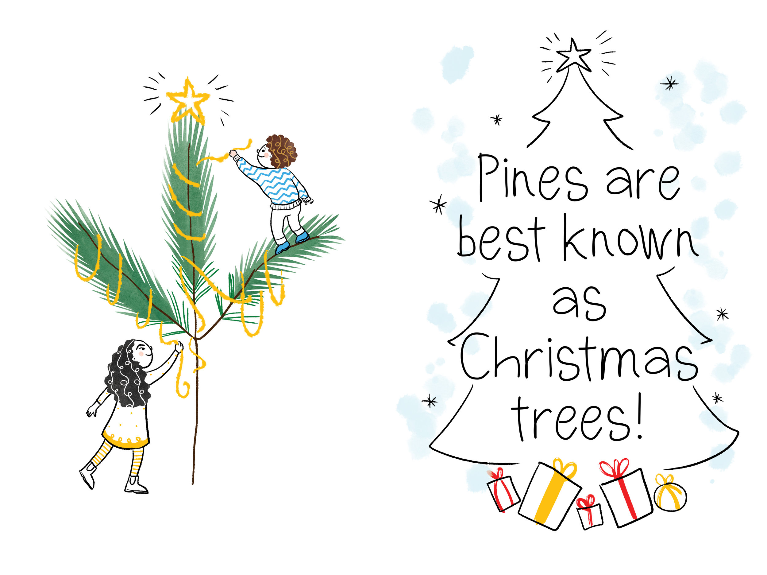 pine.jpg