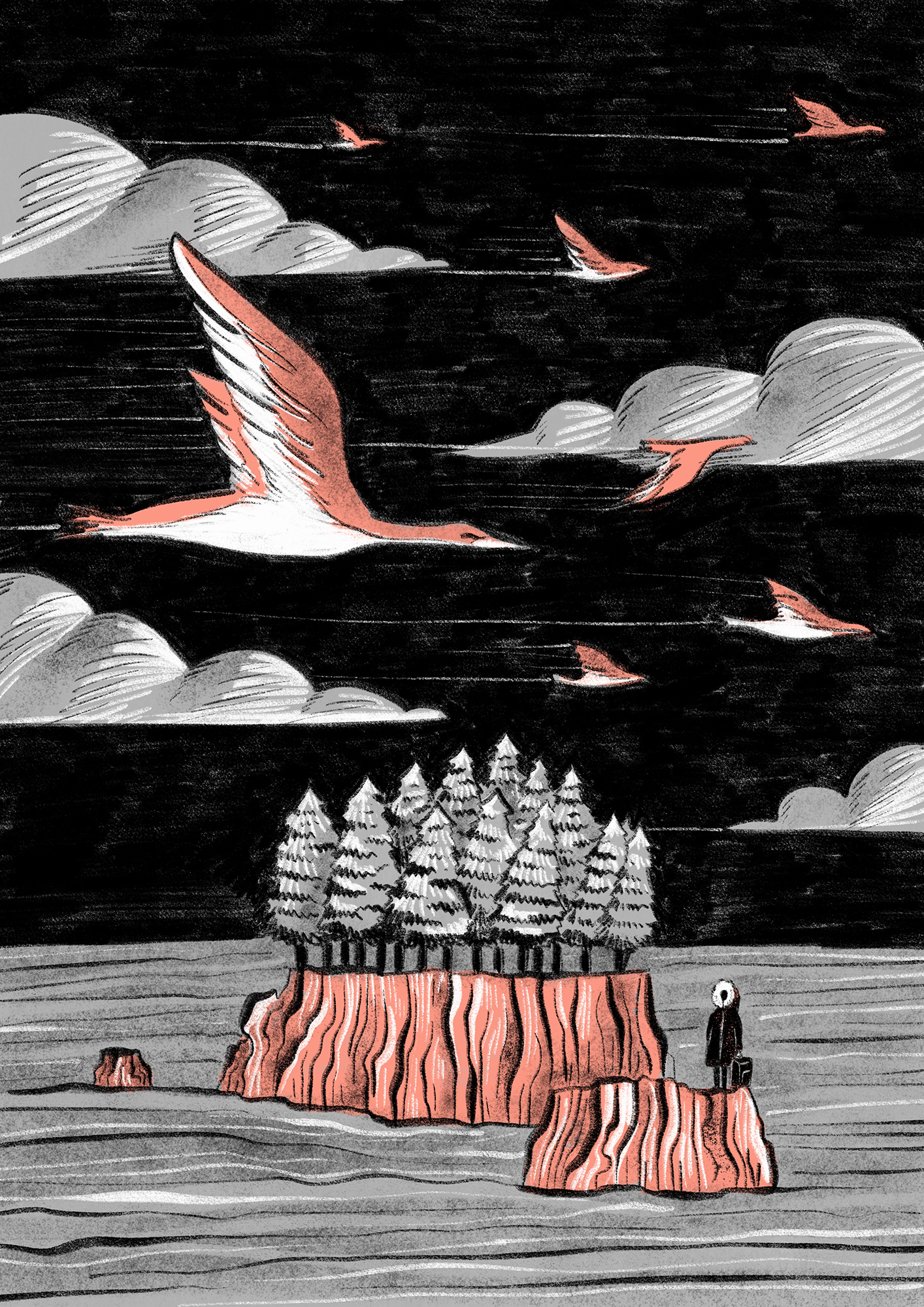 dark_isle_scotland_birds_sea_sky_clouds.jpg