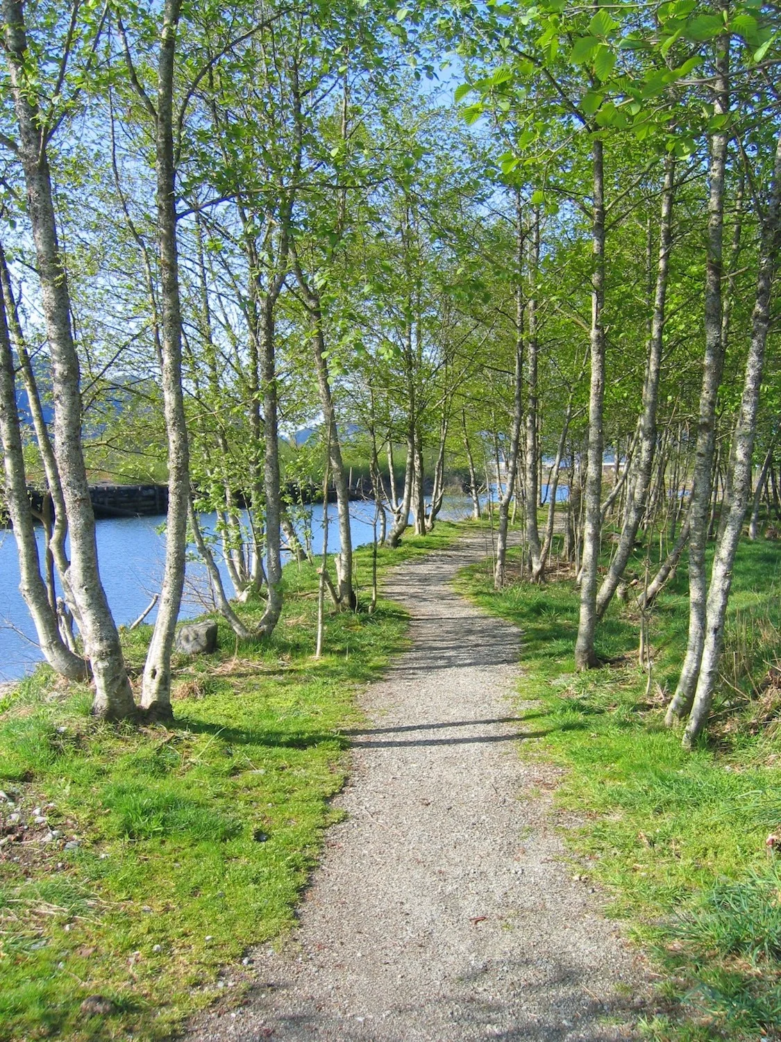 10. Trail along Cattermole Slough