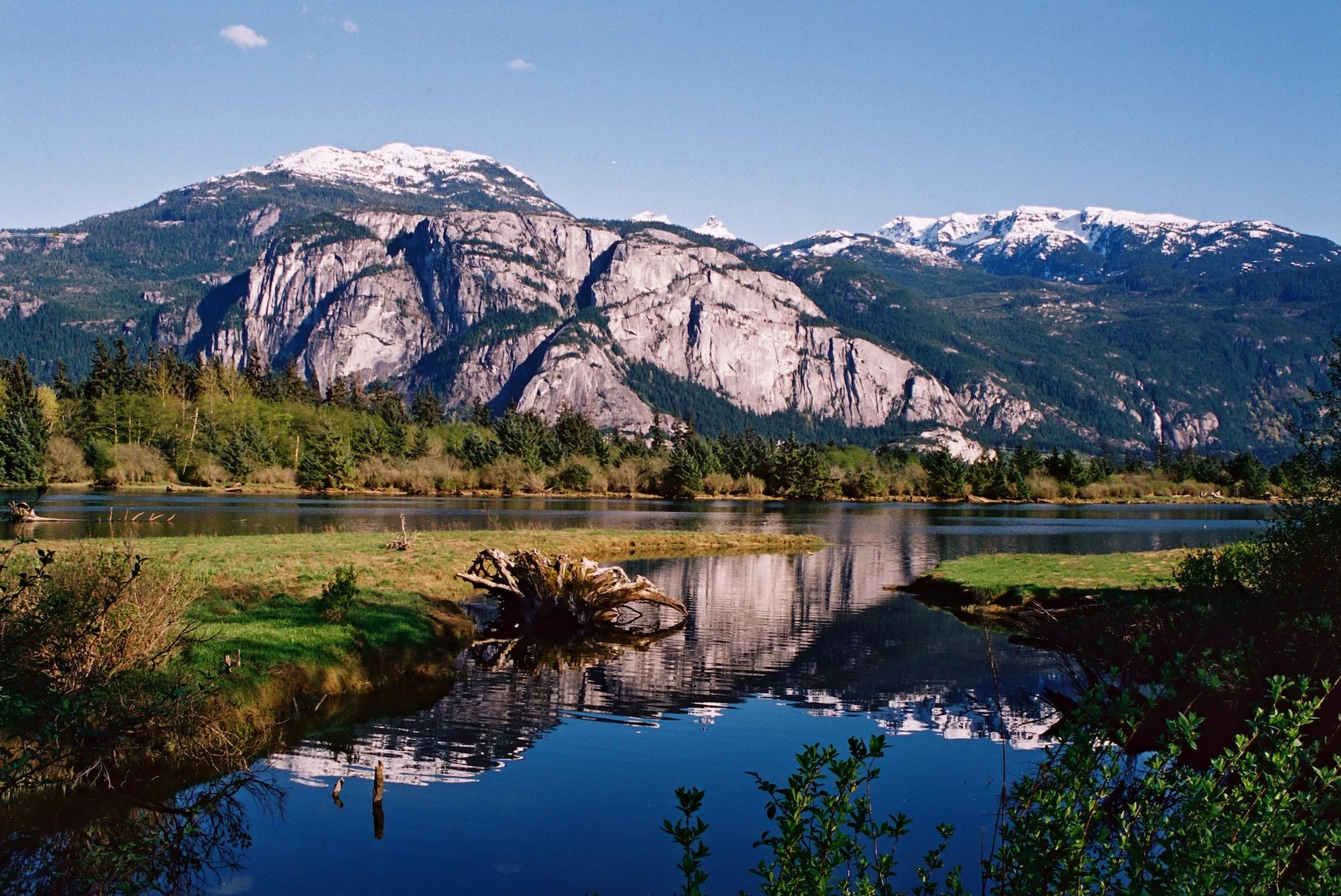 CH reflected.72.jpg
