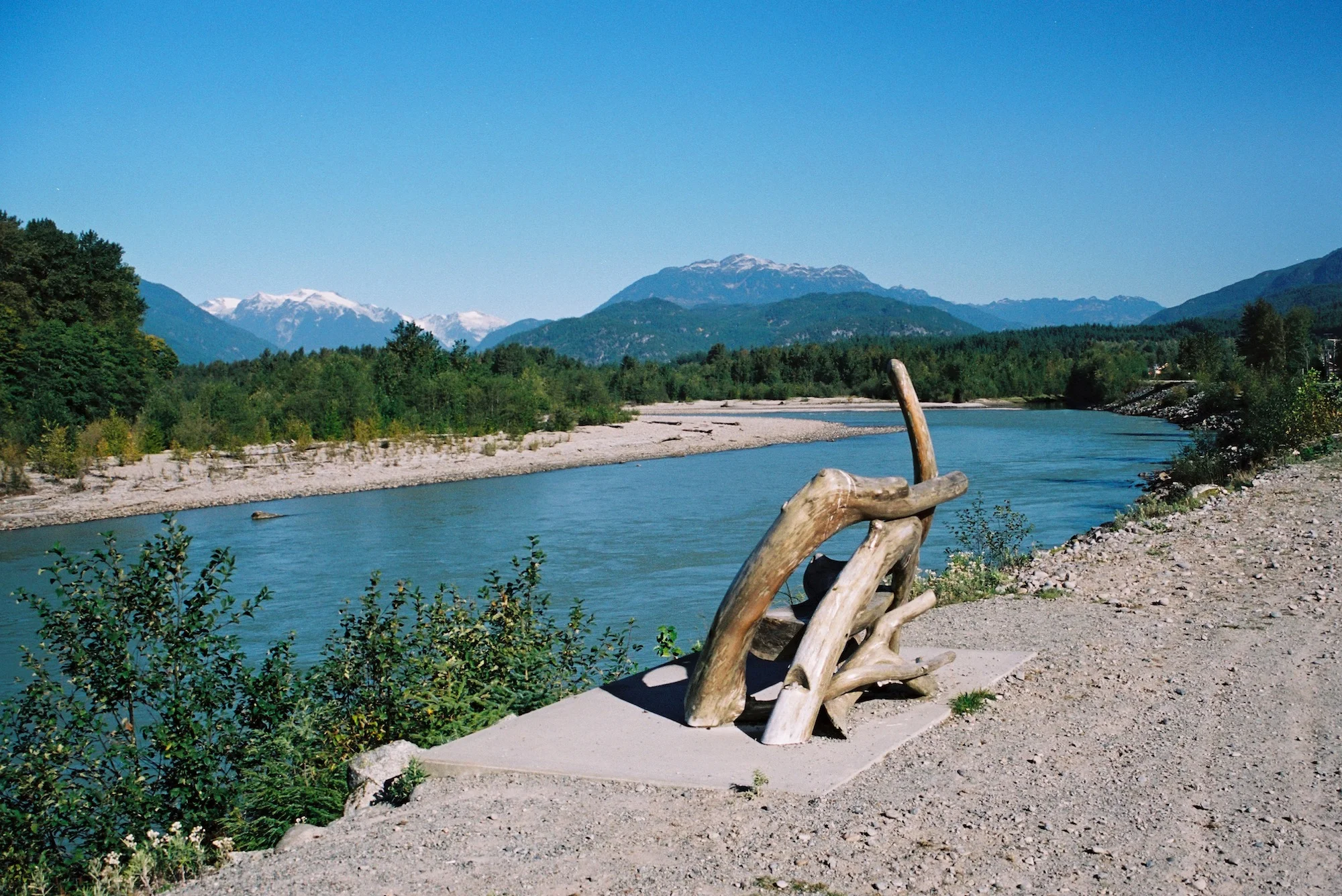 41. Doreen's bench