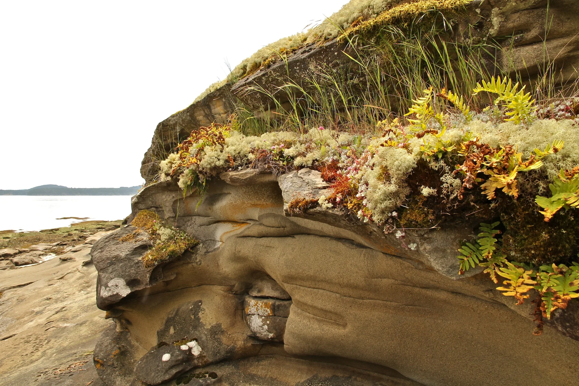 31A. Yellowpoint, BC