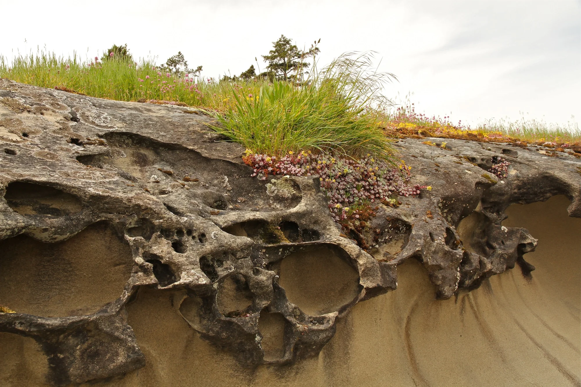 36A. Yellowpoint, BC