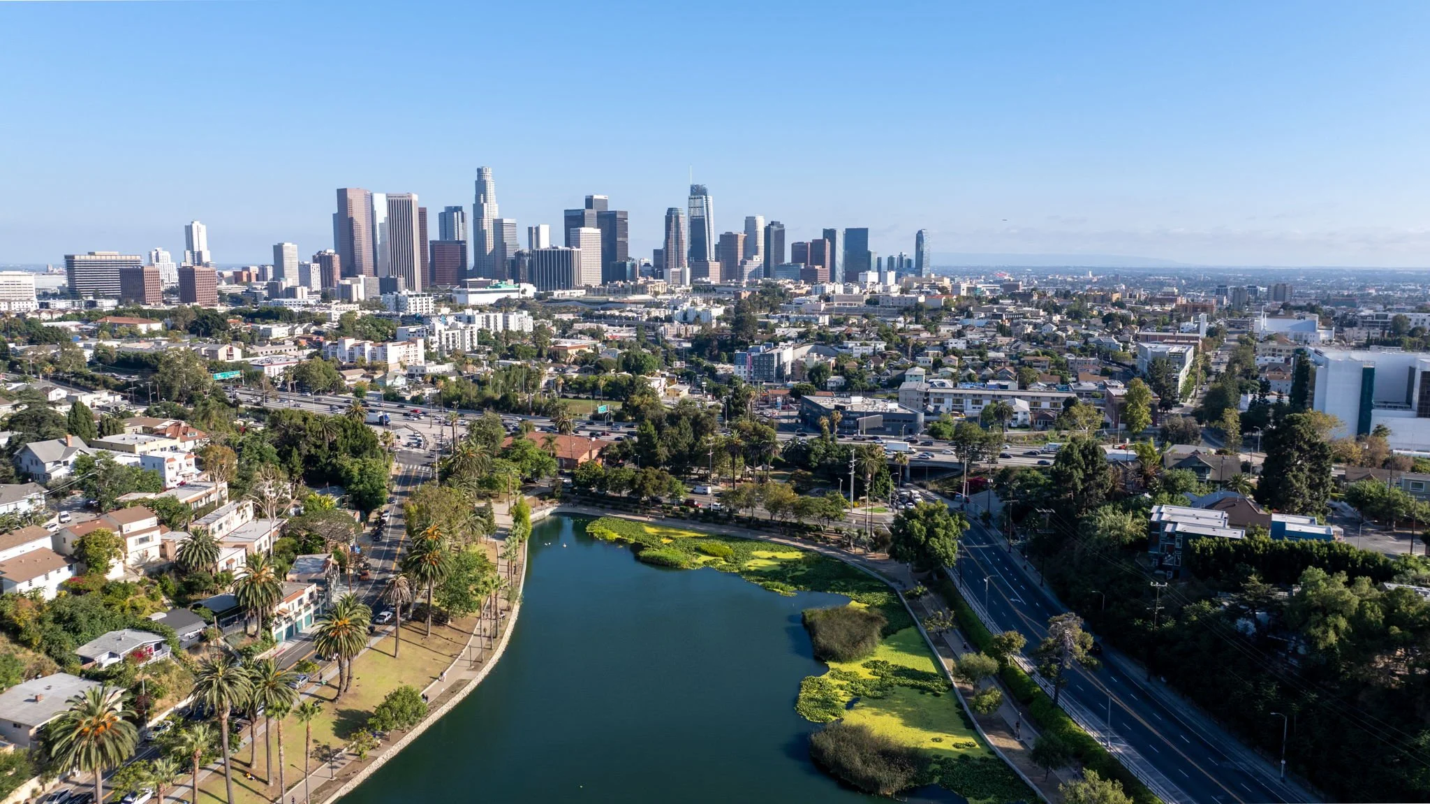 Aerial view of Echo Park Lake with its lotus beds and palm-lined shore, with the downtown Los Angeles skyline behind it.