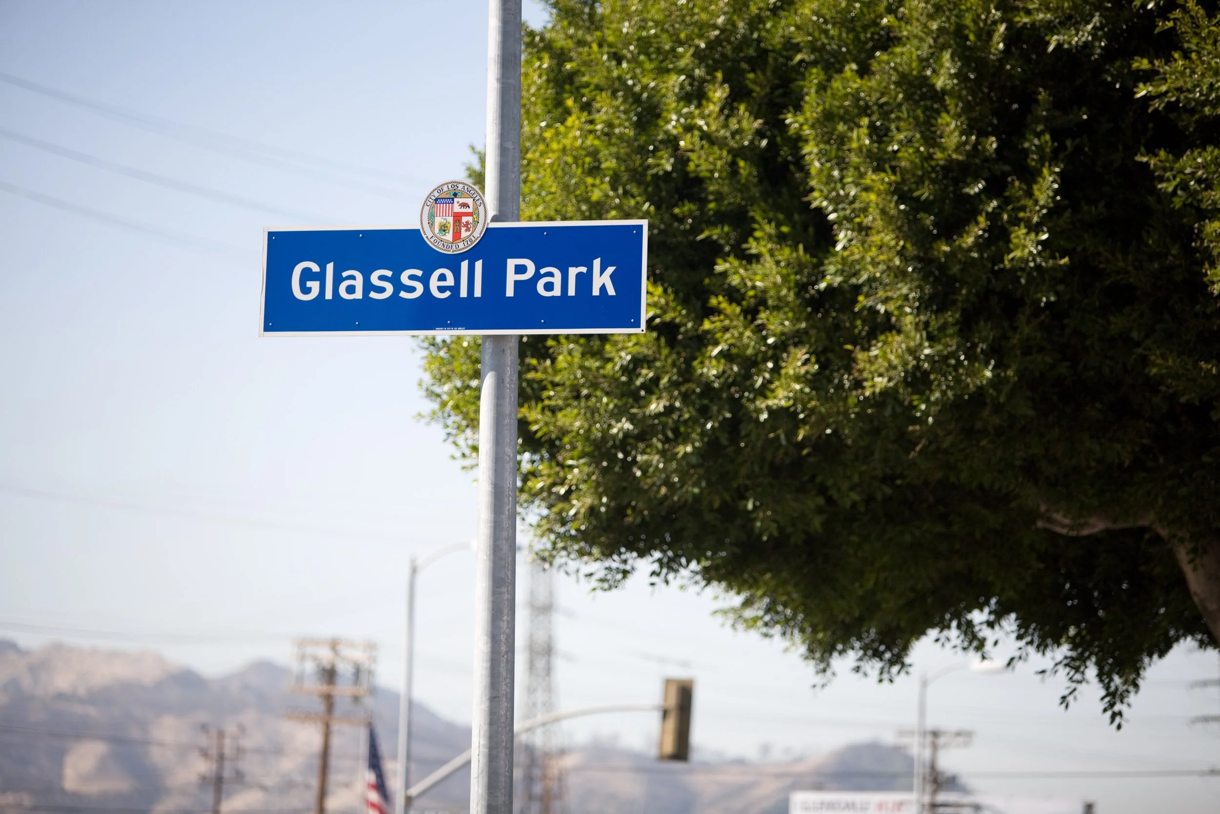 Glassell Park Los Angeles hillside homes and neighborhood view near Silver Lake and Highland Park