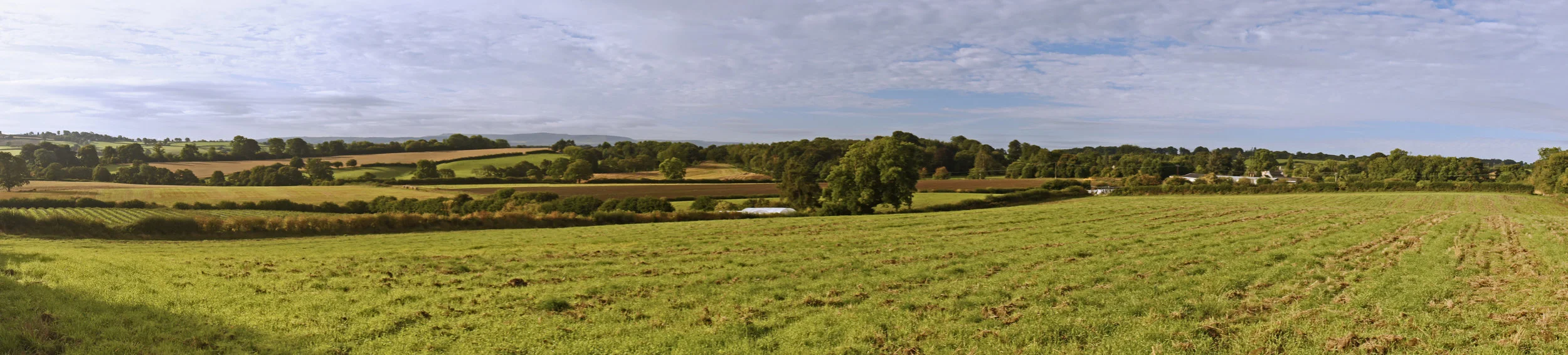 Huntington 6-9-16 232.JPG