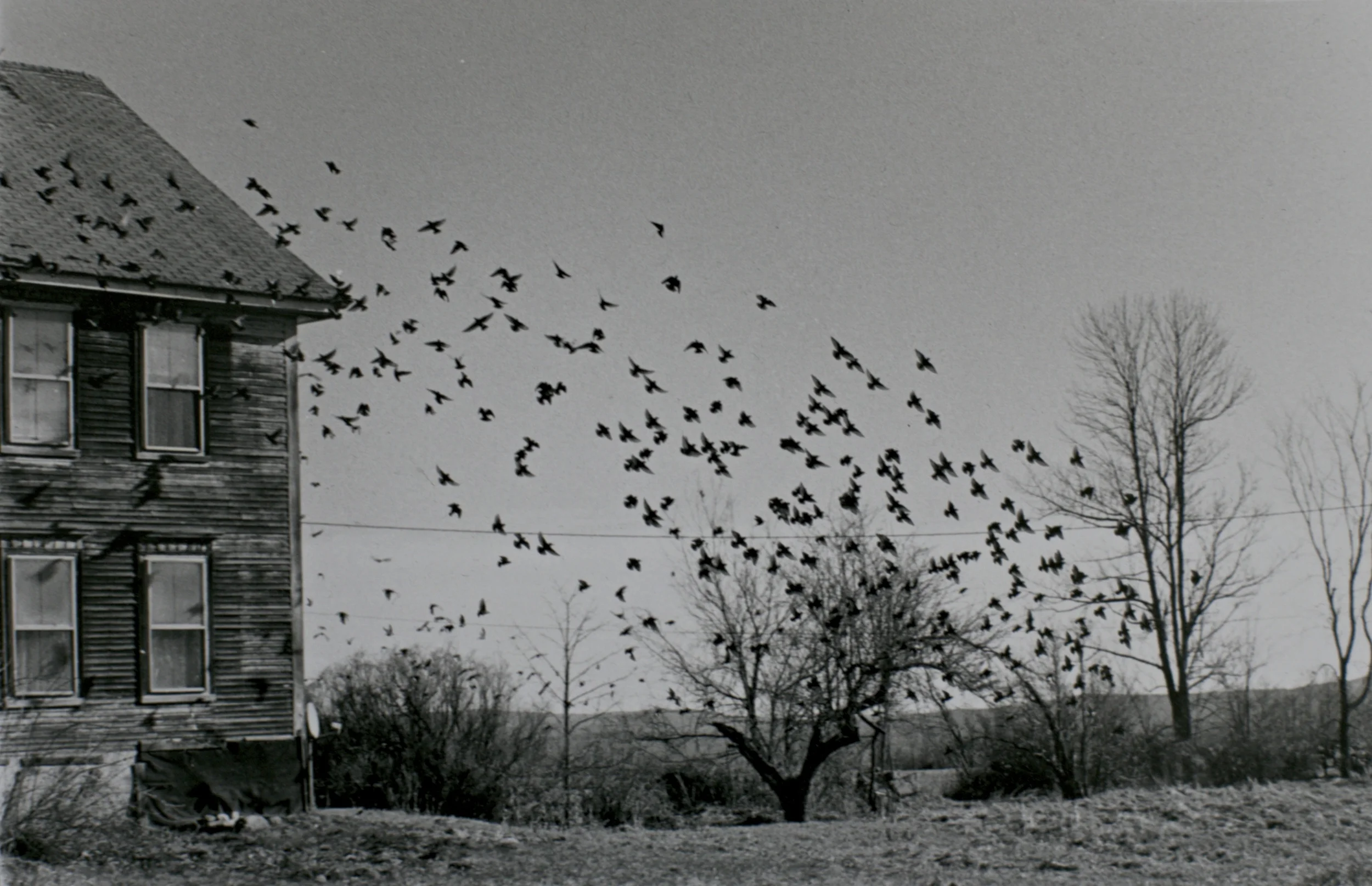 35mm; RC print