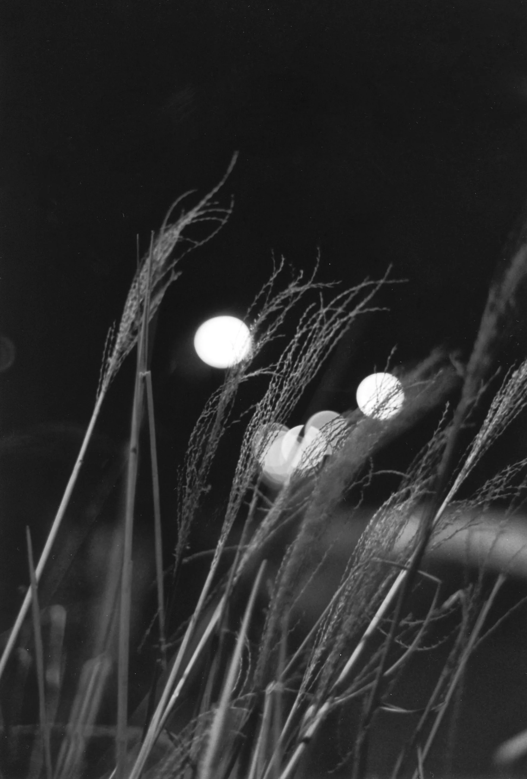 35 mm; RC print