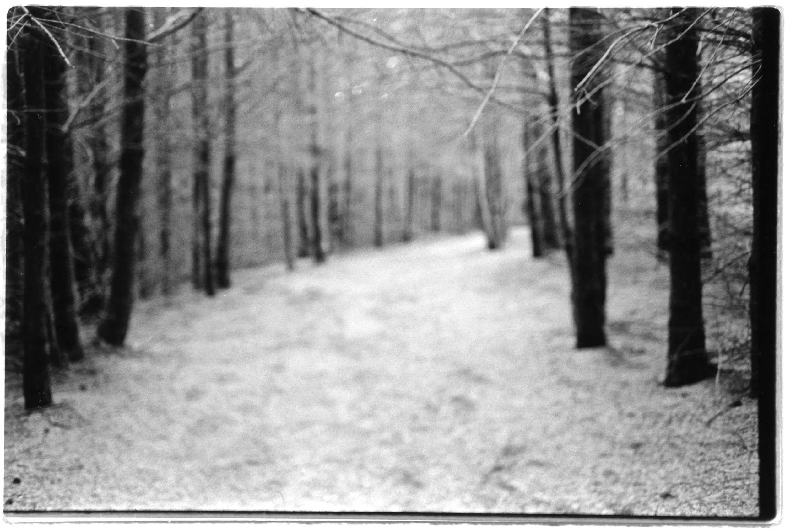 35 mm; RC paper
