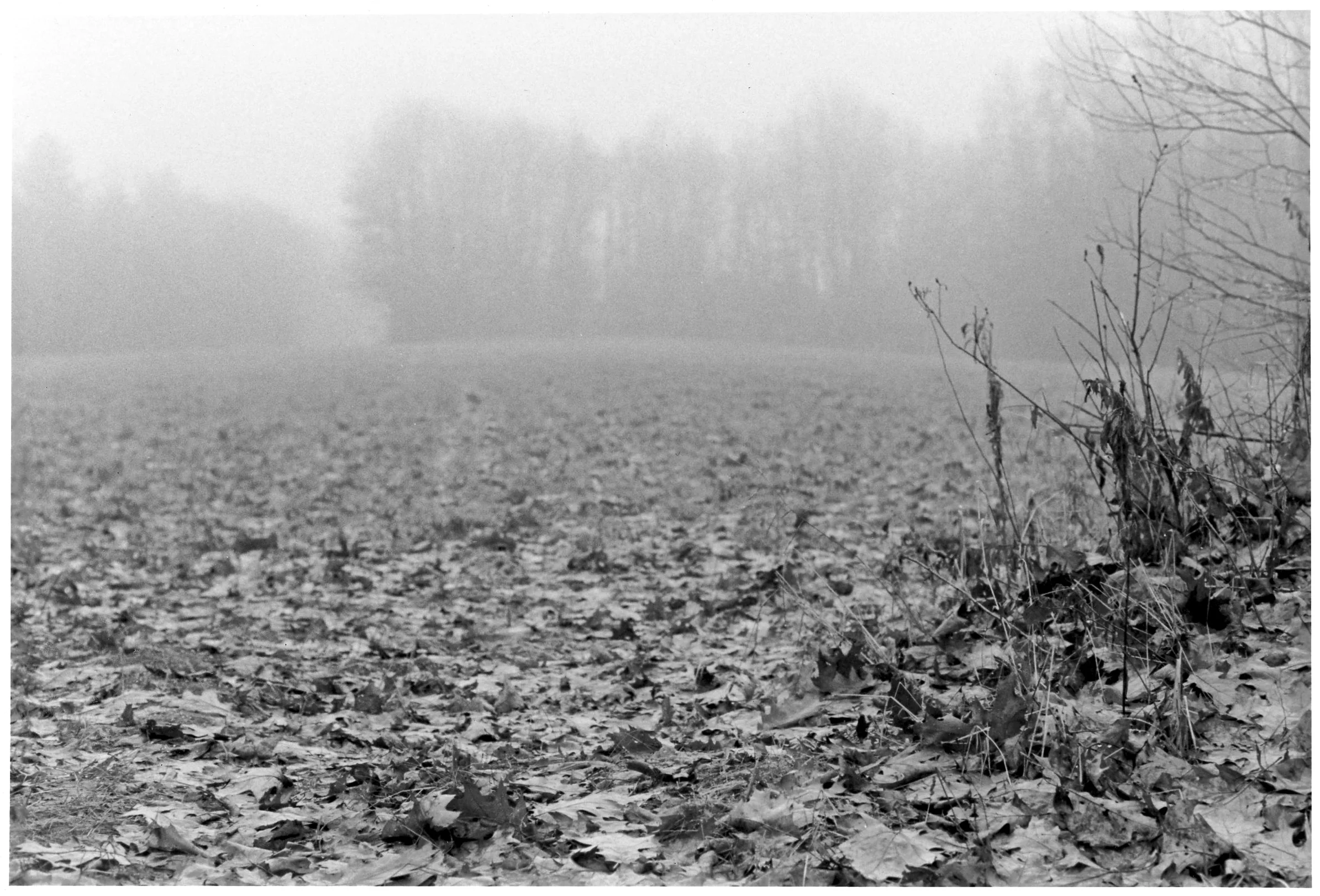 35 mm film; RC print