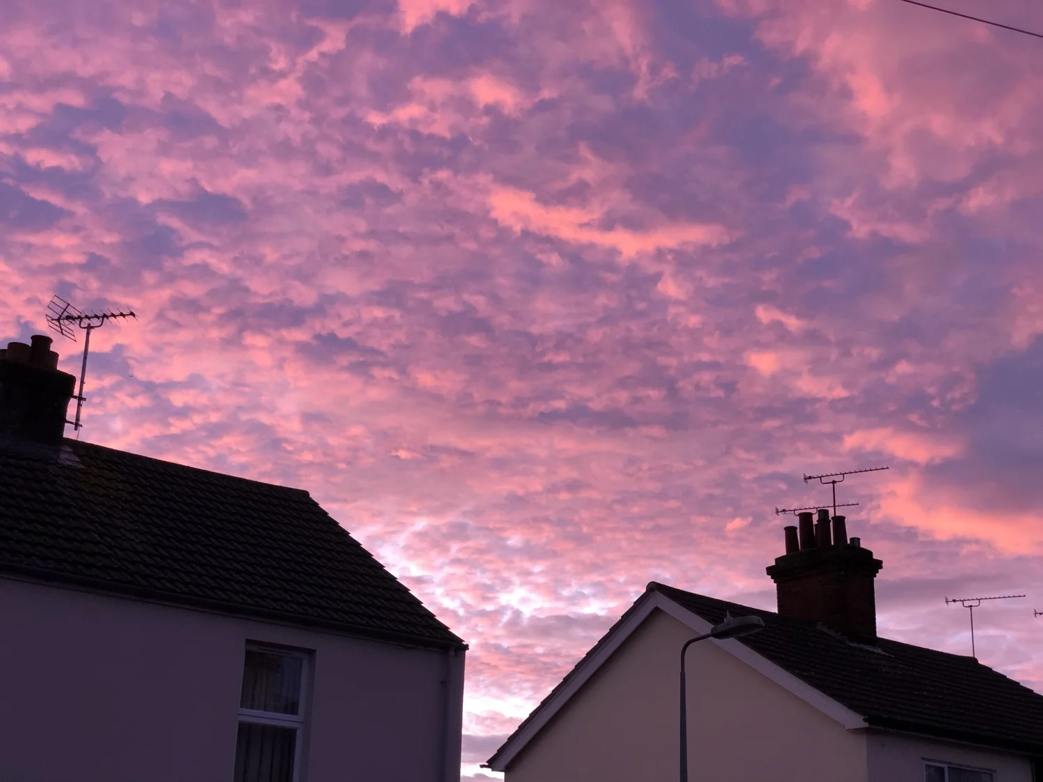 Five Things #128