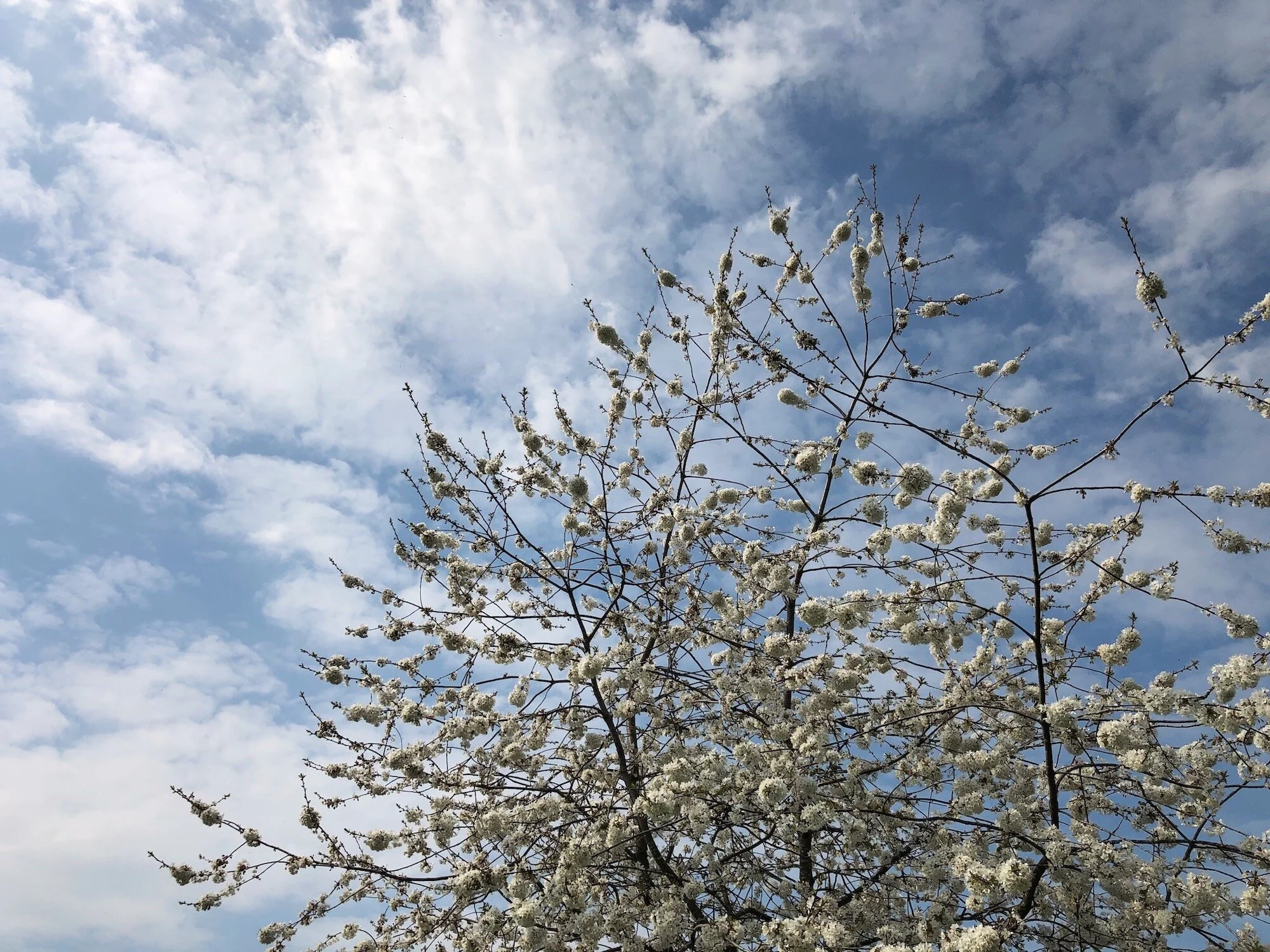 Five Things #190