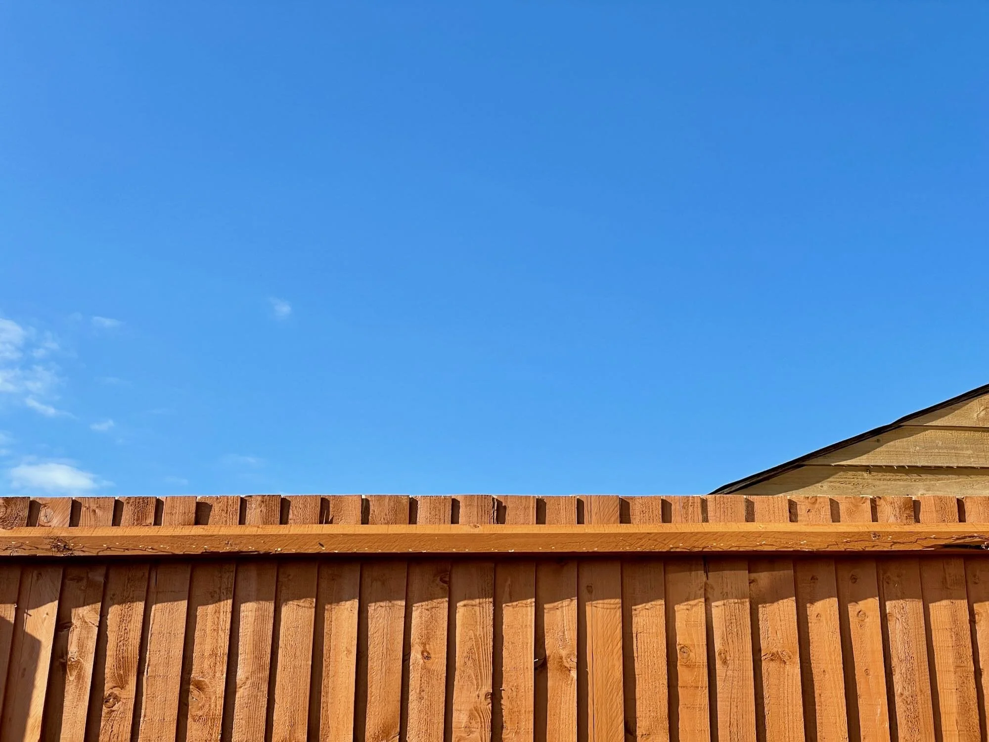 Five Things #254