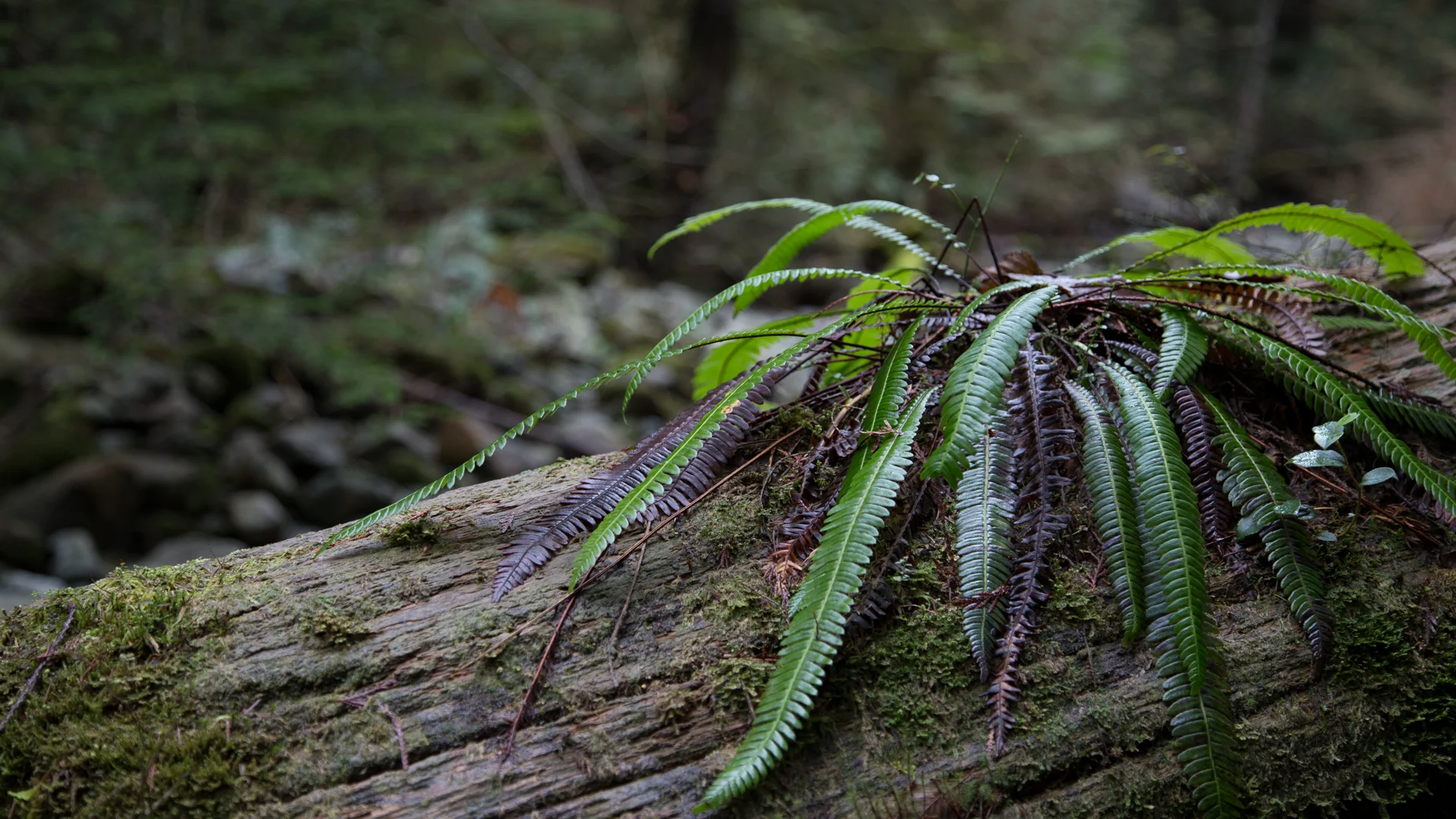 2014-025.jpg