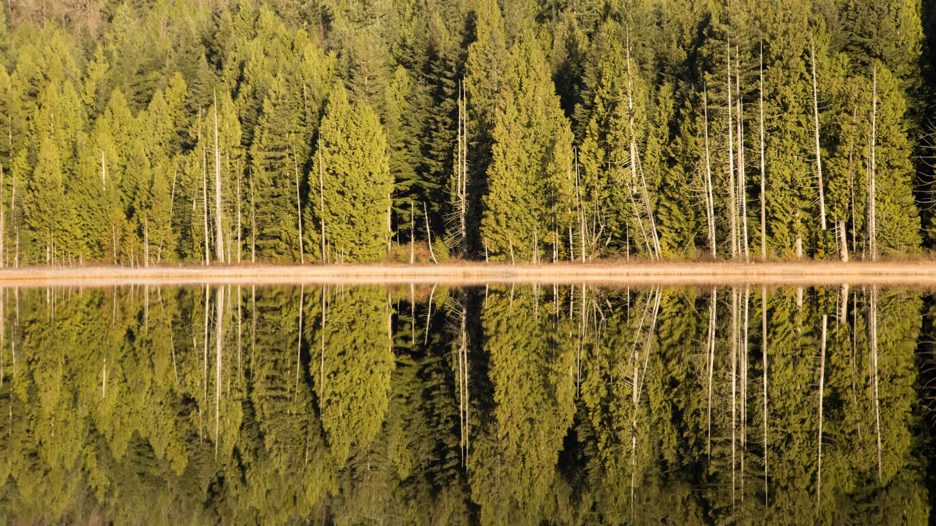 2013-087.jpg