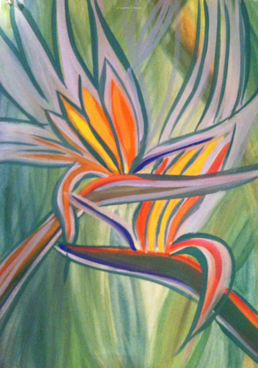 Birds of Paradise