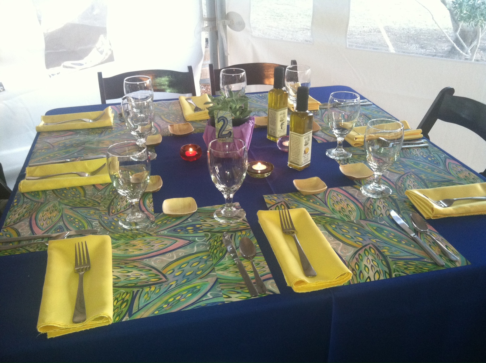 Cactus placemats, full table