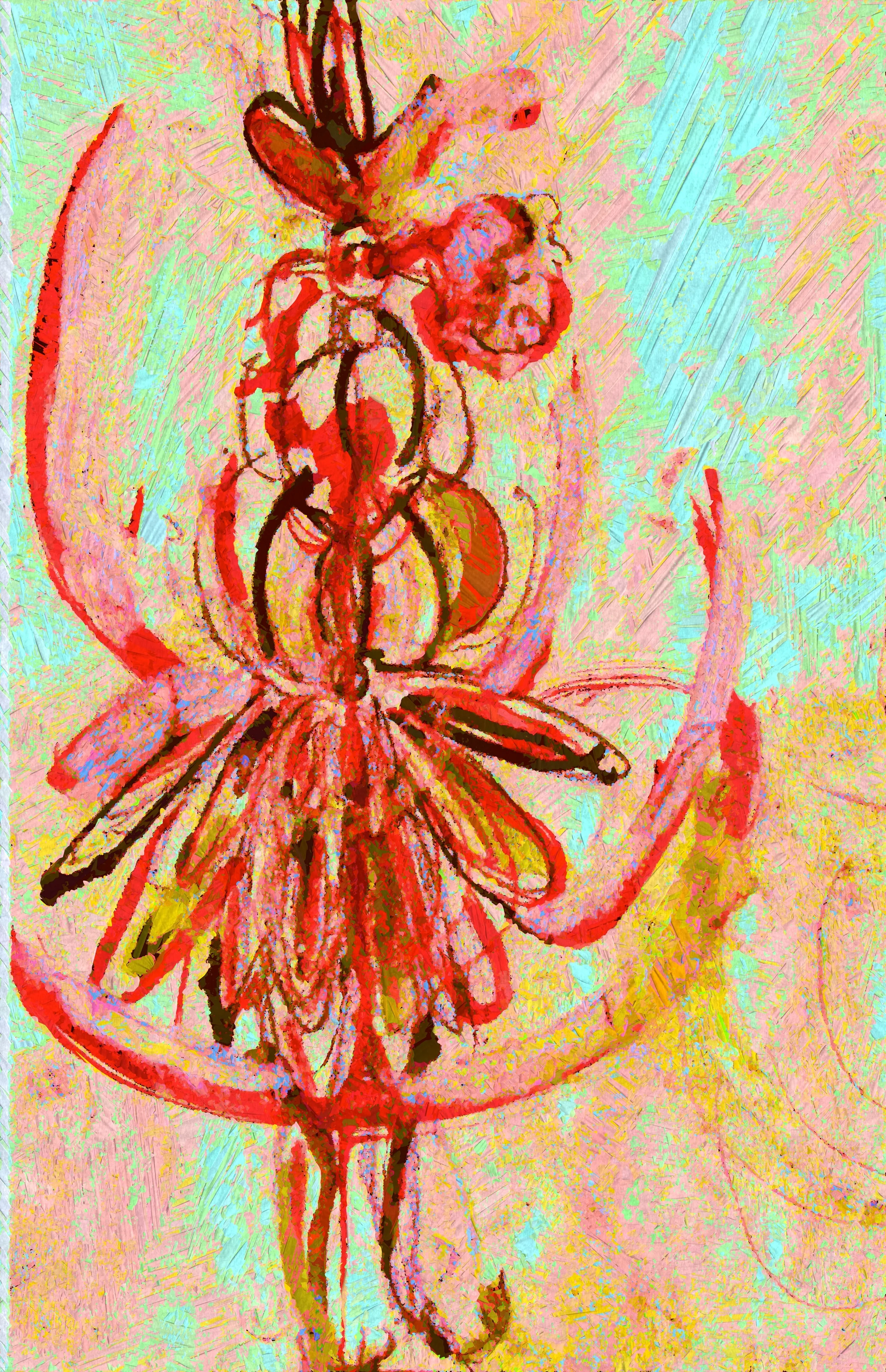 Ladybug