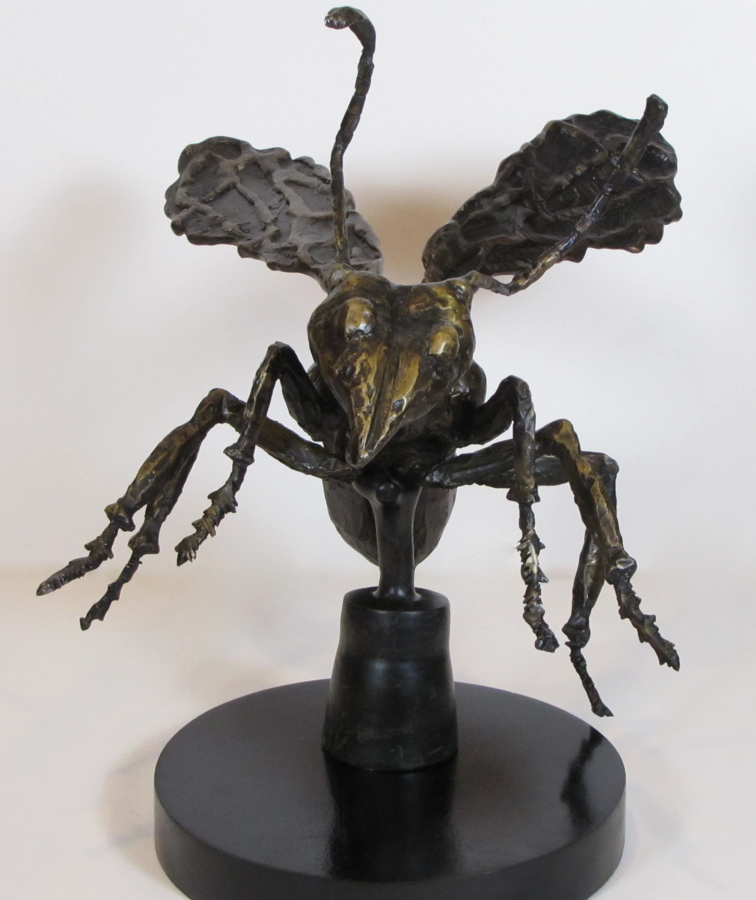 Flying Insect