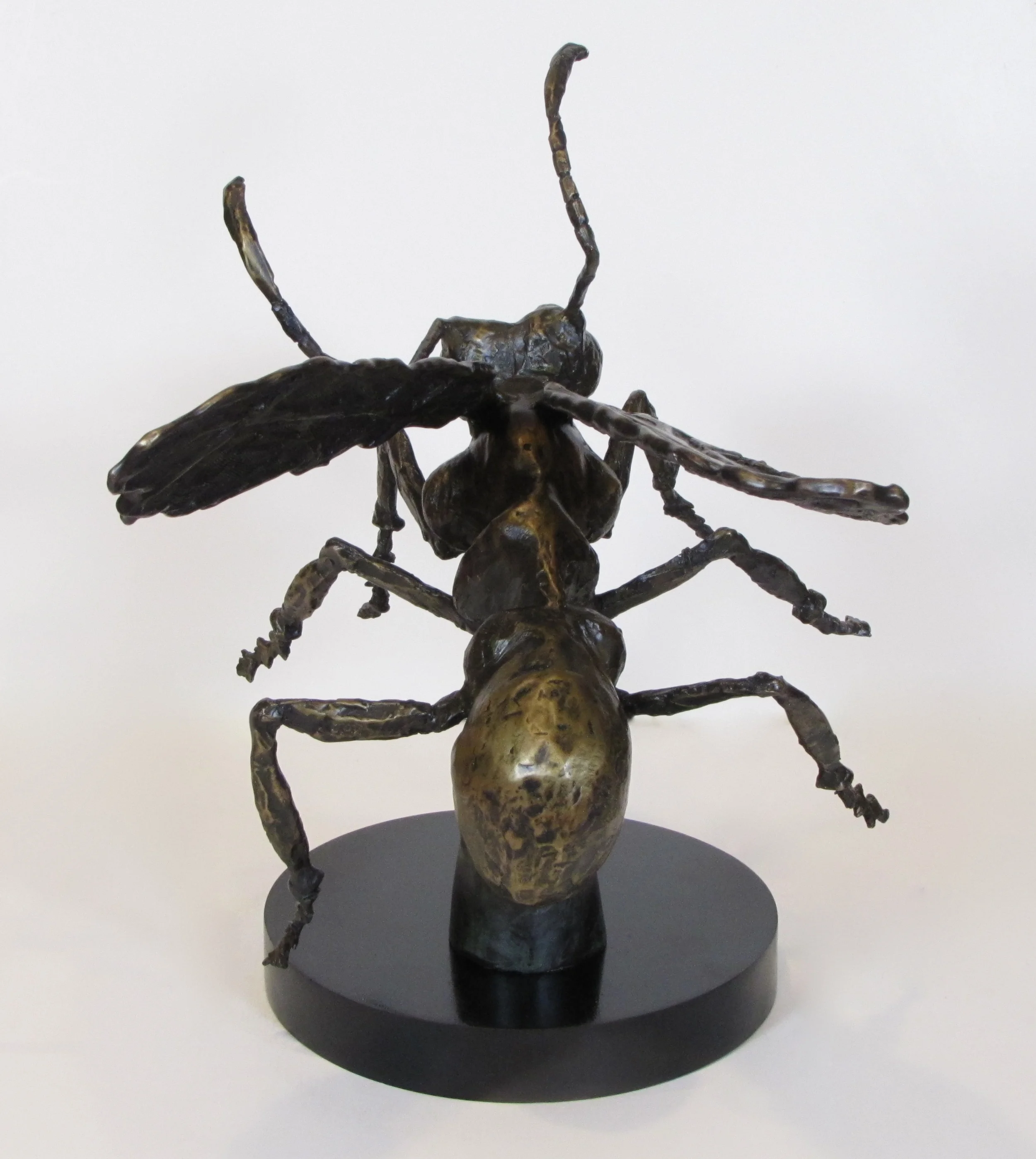 IMG_2970.JPG