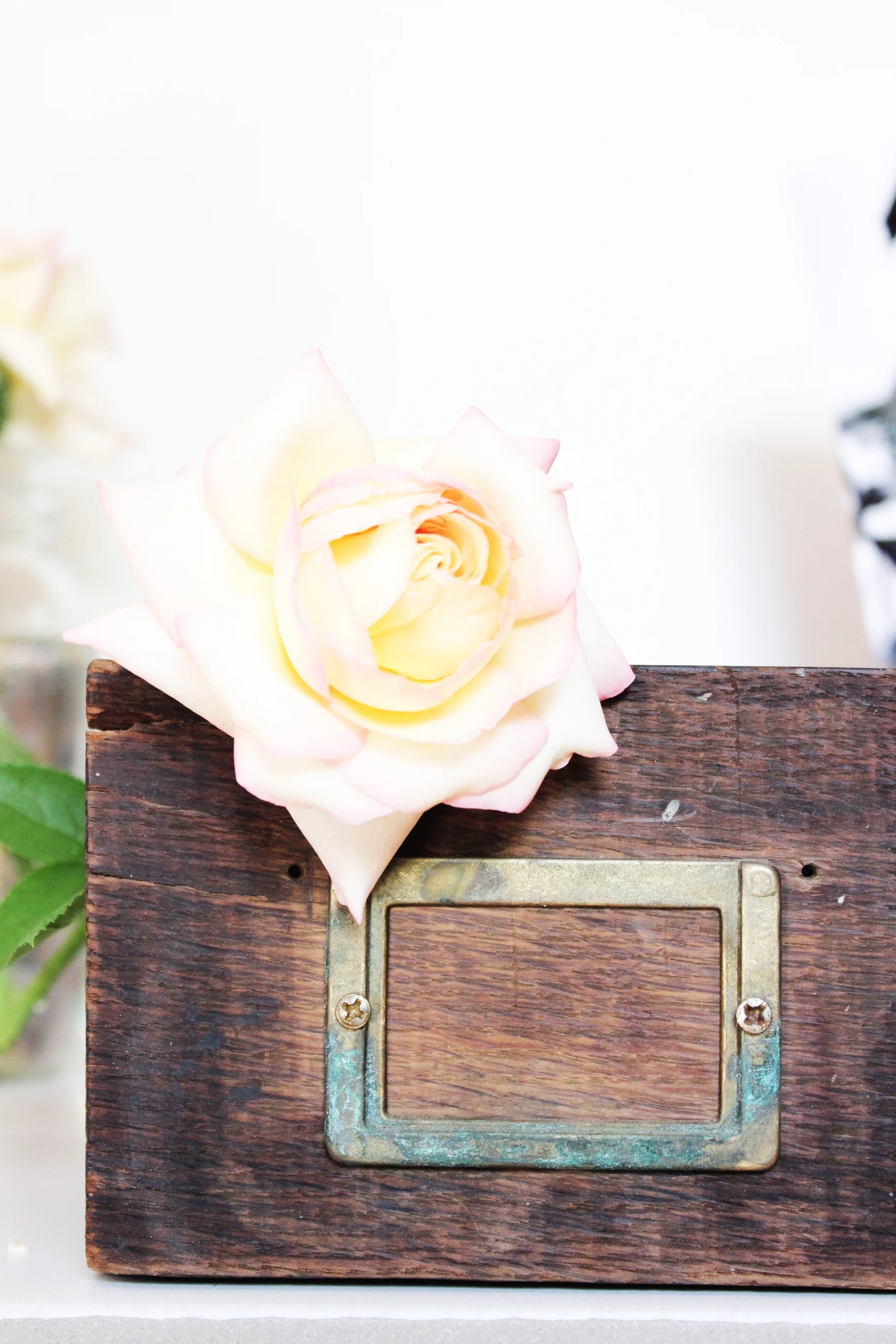 drawer-planter-1.jpg