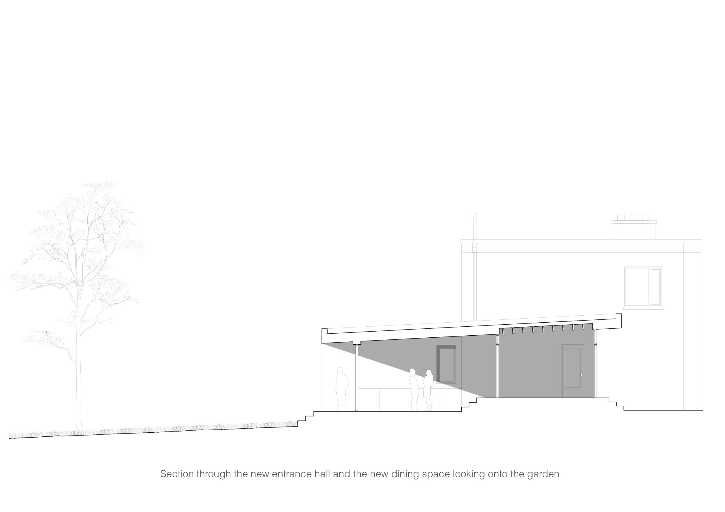Website Drawings7.jpg