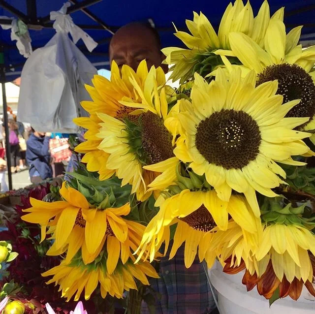 My happy place on a Sunday morning. Organic tomatoes, chard, beets, bol chou and gorgeous Sun flowers.
@shadanzz @civickitchensf @davidchang @cathyerway @moewmoewmaui