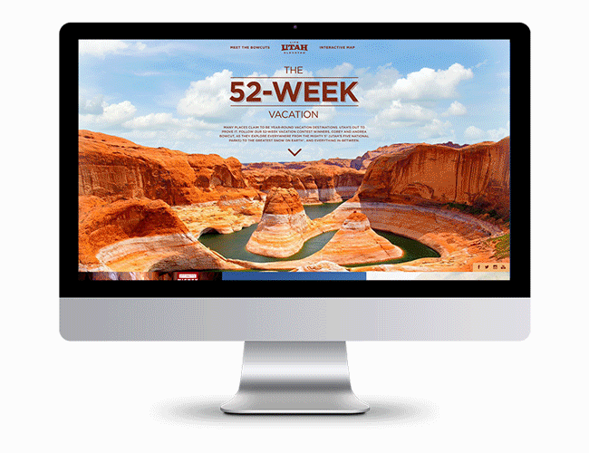 Website in action.