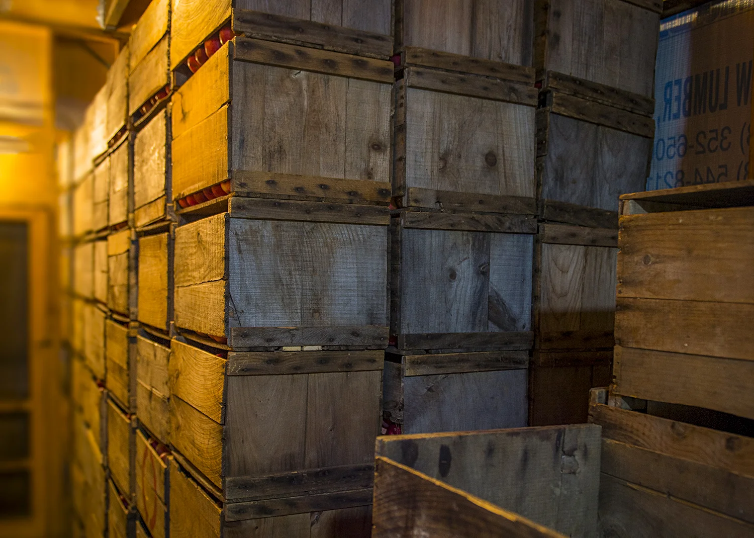 EL_New_Salem_Cider_Days_2015_019 copy.jpg