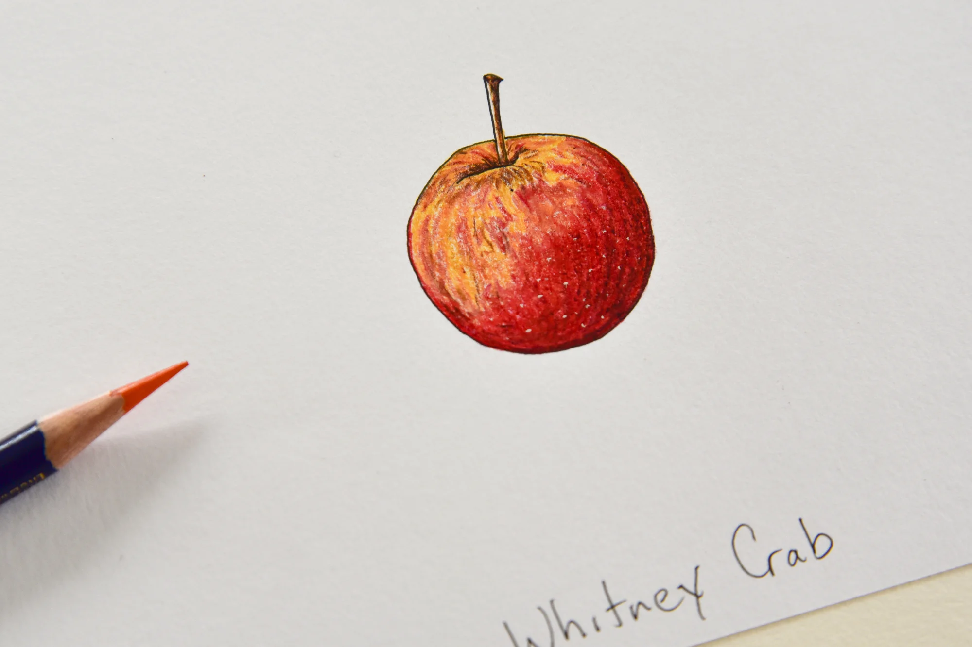 Client: Heirloom Apple
