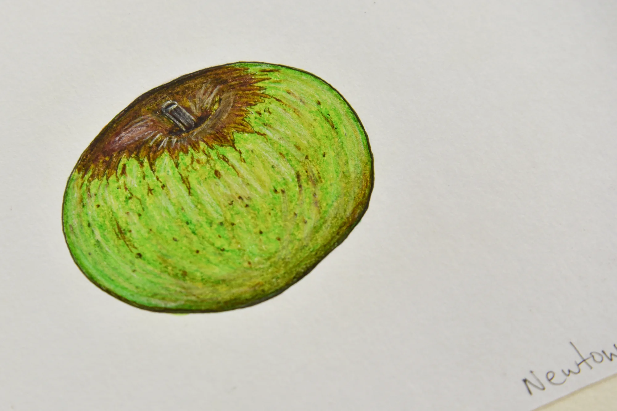 Client: Heirloom Apple