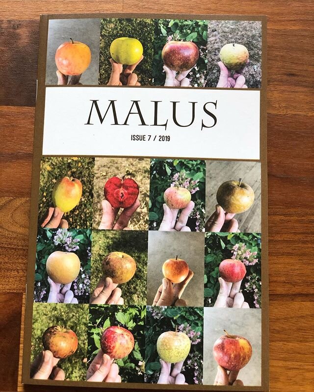 Christmas on January 4th.
Thanks @maluszine for brightening up a drizzly Saturday!
Love the cover btw.

#maluszine