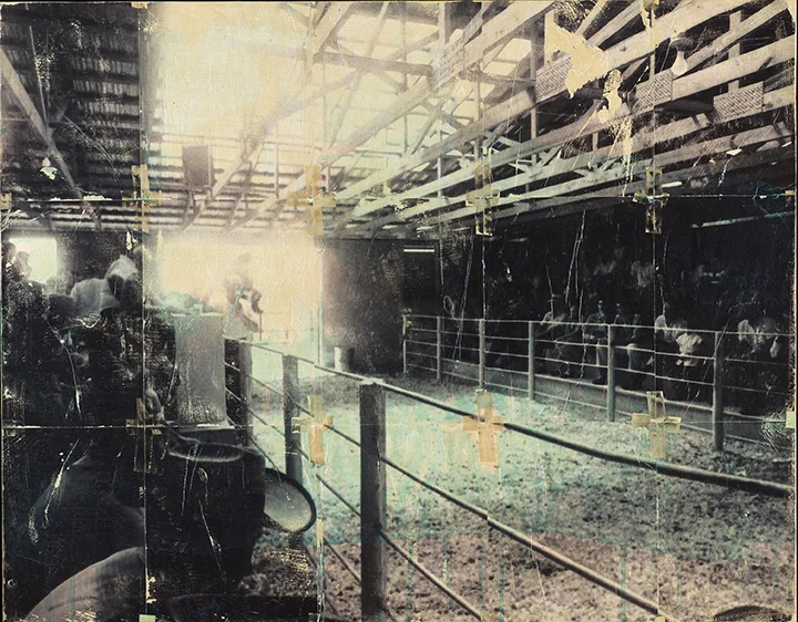 Breedlove_CouldThisAllHaveBeenAvoided...Possibly_38x30_PhotoMixedMedia(Framed)_2015_.jpg