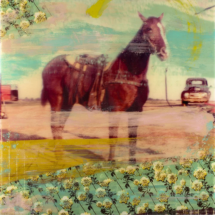 Breedlove_IJustDon'tKnowWhereIBelong_40x40_PhotoMixedMedia_Resin_2013_.jpg