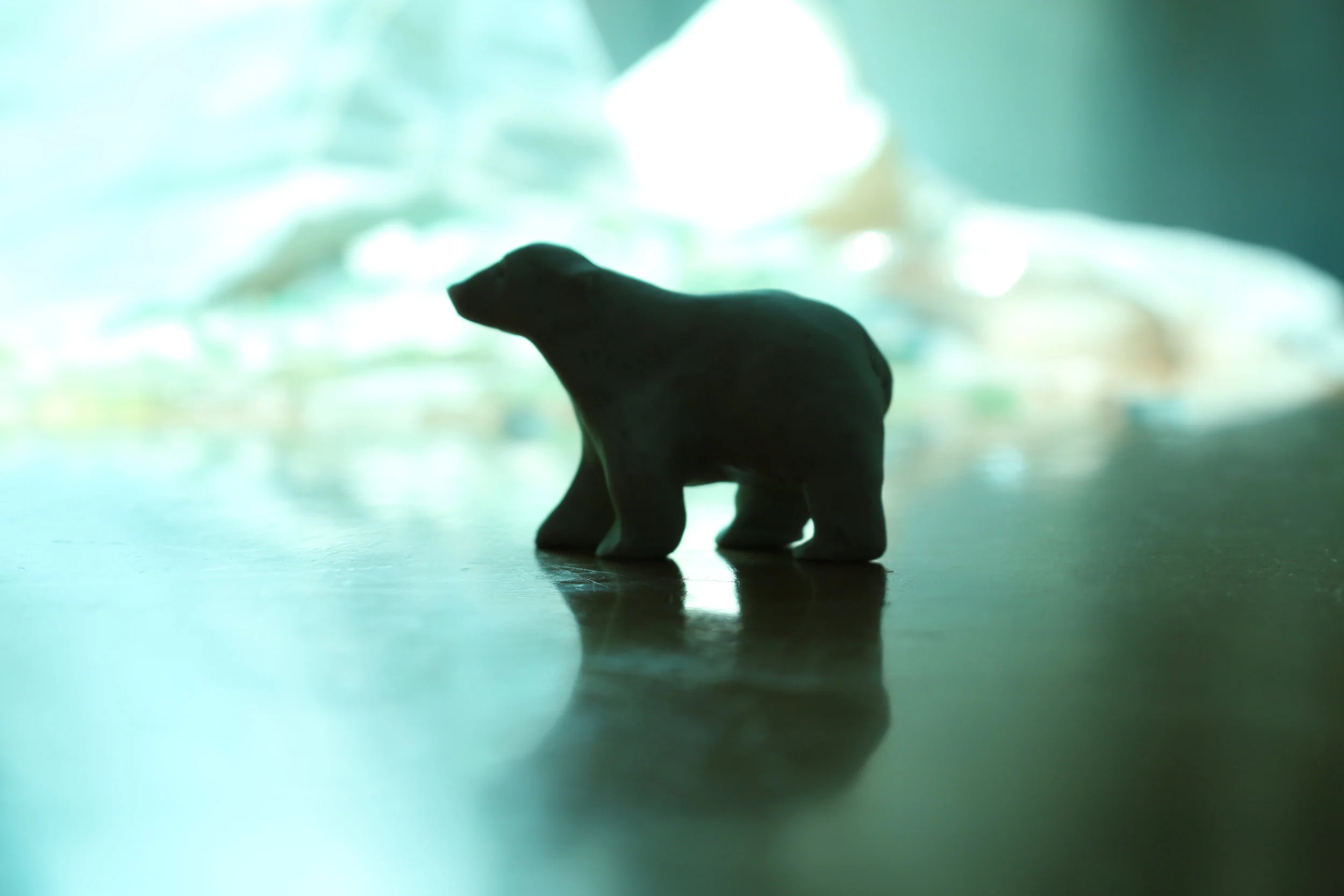 PolarBear.jpg