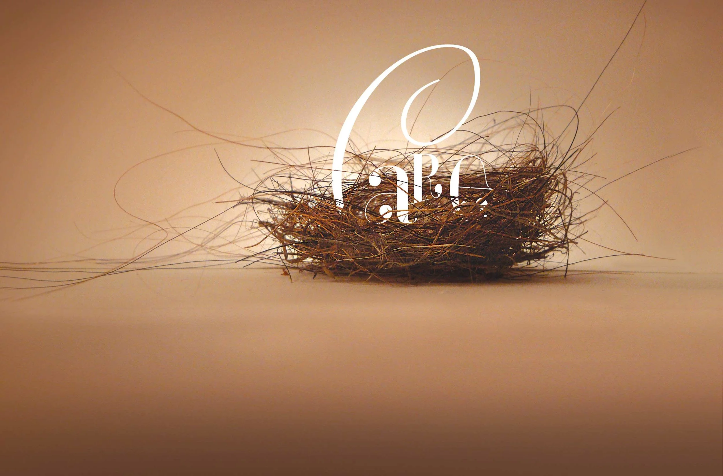 Care_nest_Web.jpg