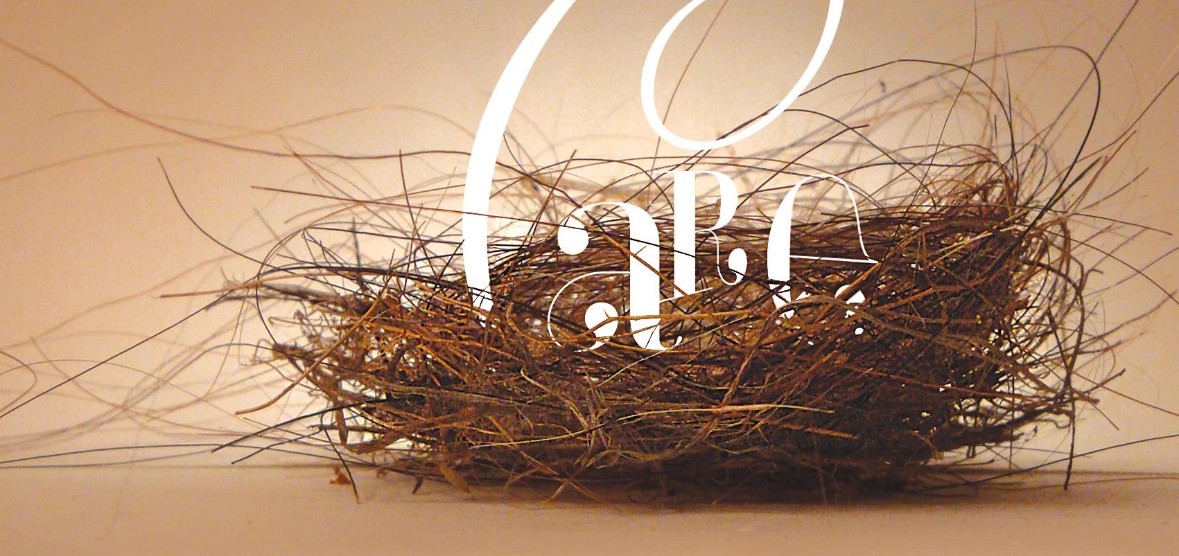 Care_nest_Web-crop.jpg